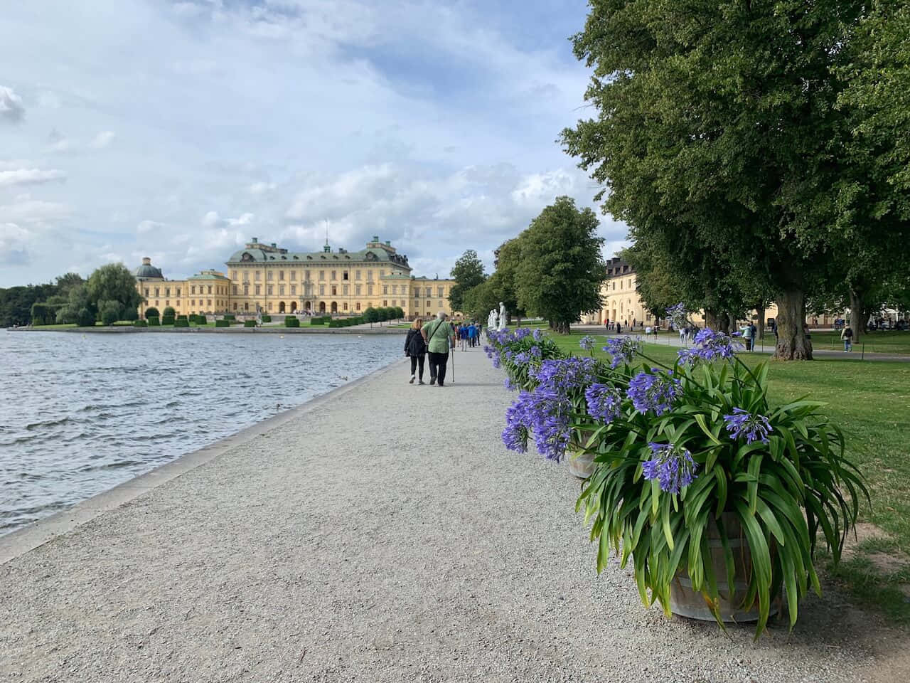 Drottningholm Palace 桌布 壁紙 — 一條碎石小徑兩旁種滿紫色百子蓮，穿過平靜的湖面，通向一座宏偉的黃色宮殿，天空部分多雲。