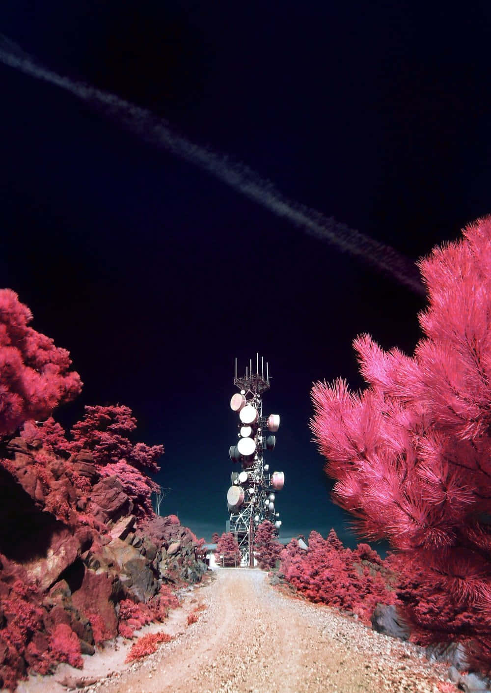 Otherworldly 桌布 壁紙 — 一條碎石路蜿蜒穿過充滿活力的粉紅色紅外線樹木，通往一座高聳的通訊塔，背景是深邃的夜空，帶有淡淡的凝結尾跡。