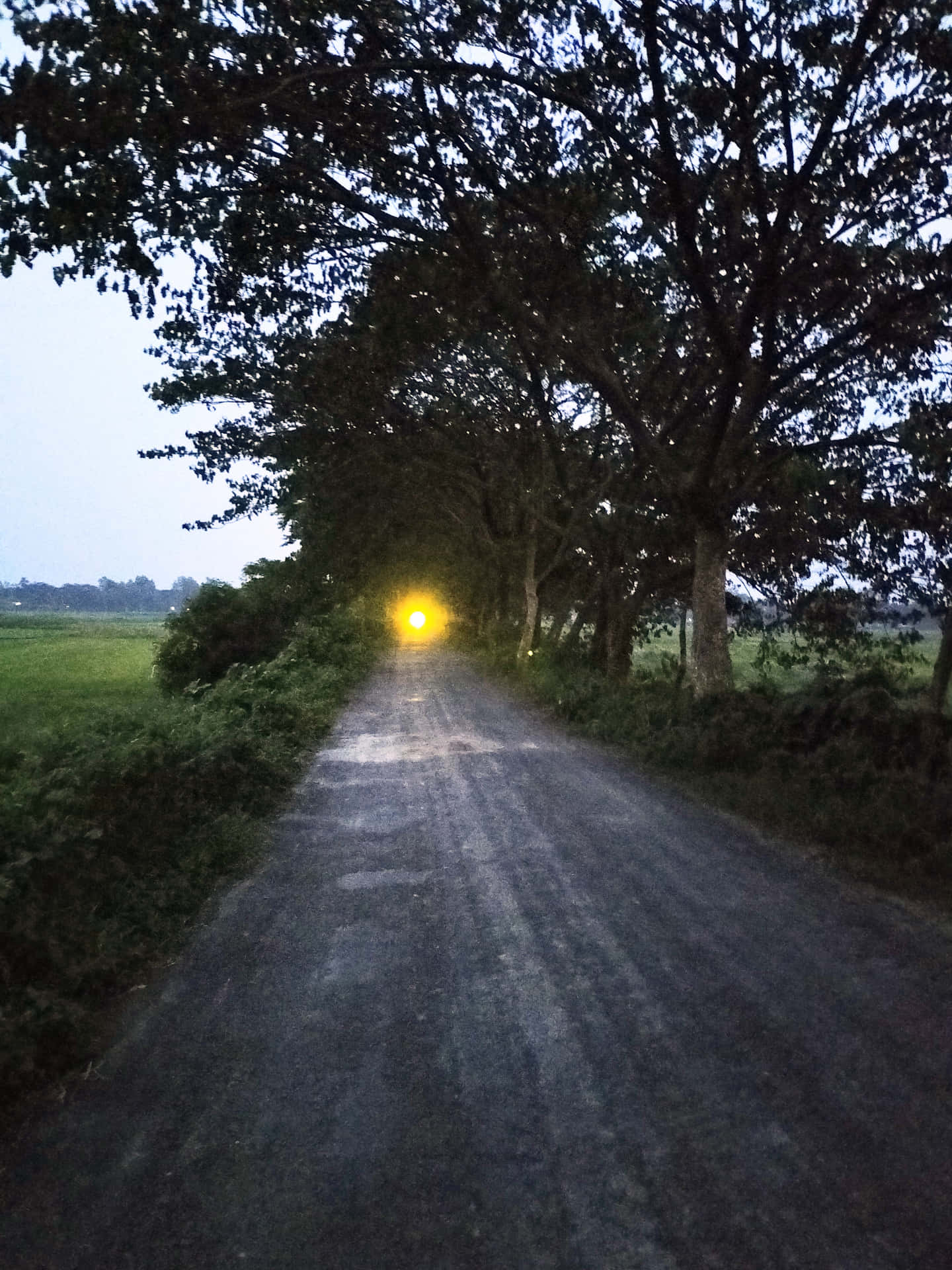 Evening Road 壁紙 — 一條碎石路蜿蜒穿過樹木成蔭的小徑，在黃昏時分，遠端有一盞發光的黃色燈光。