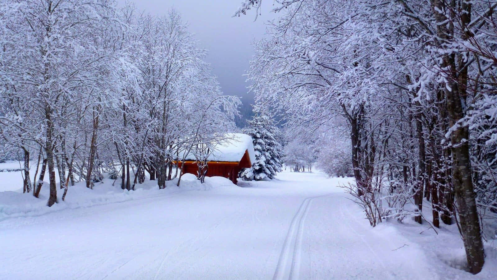 冬季 桌布 壁紙 — 一條積雪森林小徑通往一座紅色小屋，小屋坐落在積雪覆蓋的樹木之間，上方是灰暗的冬日天空。