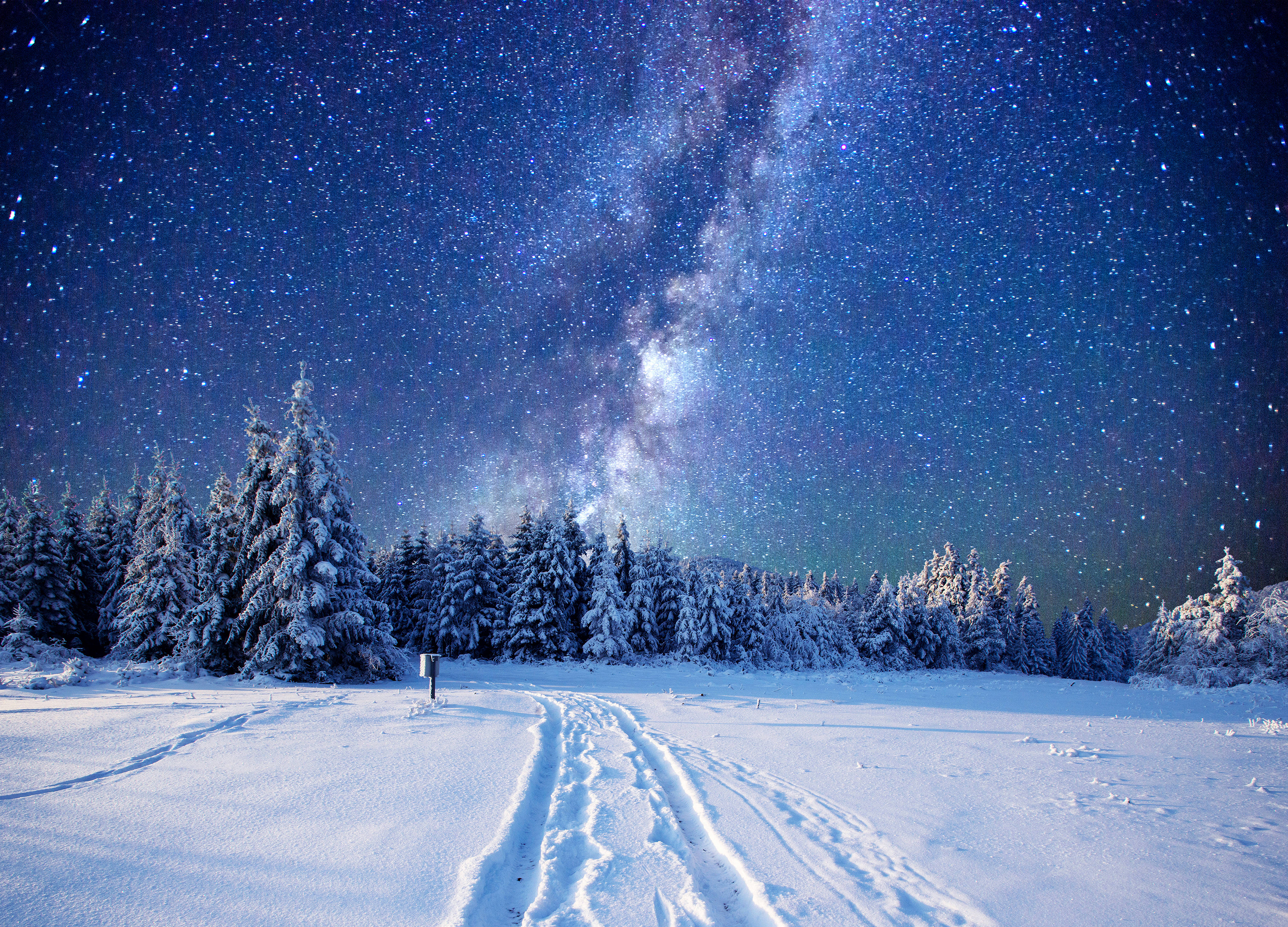 天空 桌布 壁紙 — 一條積雪森林小徑通往被雪覆蓋的松樹，上方是令人屏息的星空，銀河拱起。