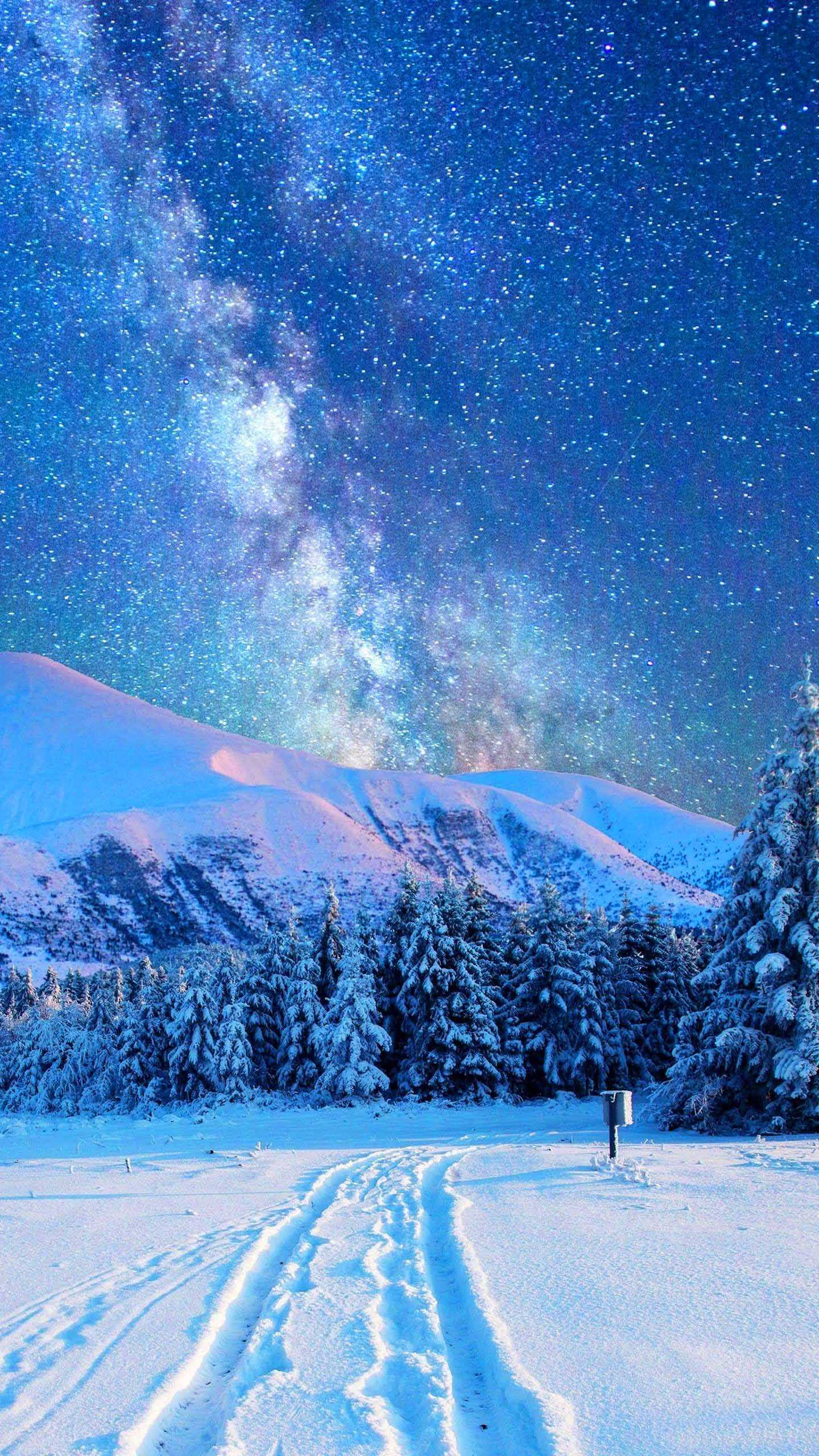 冬季 iPhone 壁紙 桌布 壁紙 — 一條積雪的山路蜿蜒穿過松樹林，上方是燦爛的星空，銀河在頭頂閃耀。