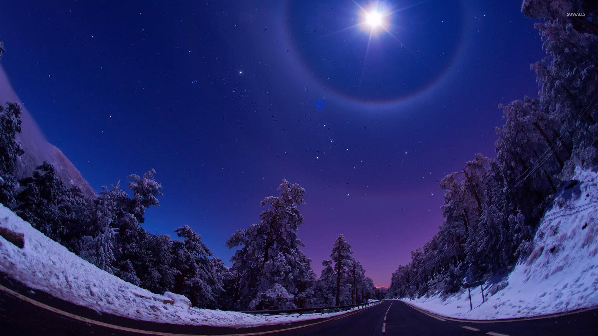風景 桌布 壁紙 — 一條積雪的森林道路在明亮的月亮和發光的光環下蜿蜒，背景是星光燦爛的黃昏天空。