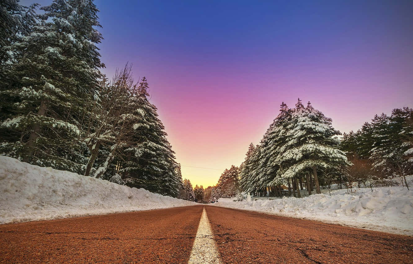 Road 桌布 壁紙 — 一條積雪的道路穿過松樹林，延伸在充滿活力的紫色和藍色暮色天空下。