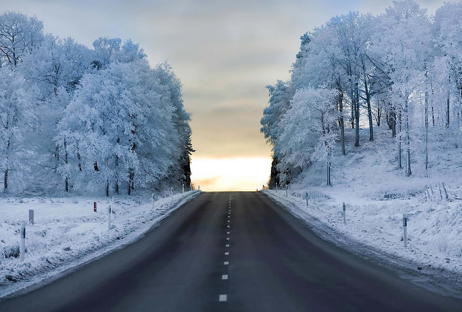 Icy Road 桌布 壁紙 — 一條積雪的道路穿過覆蓋霜凍的樹木，延伸向發光的日出地平線。