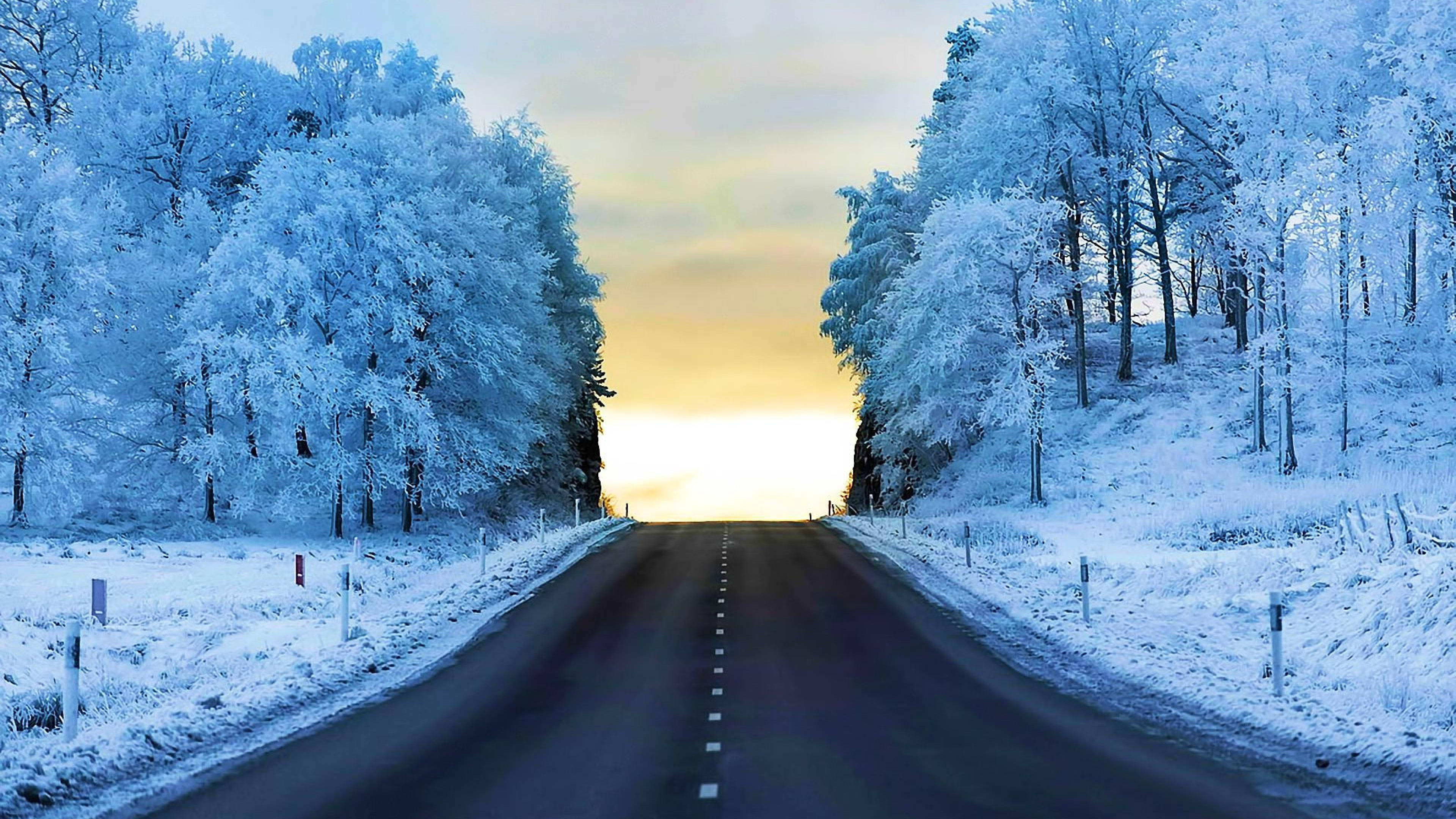 淺藍色 桌布 壁紙 — 一條積雪的道路穿過霜凍的樹木，延伸向發光的日落地平線。