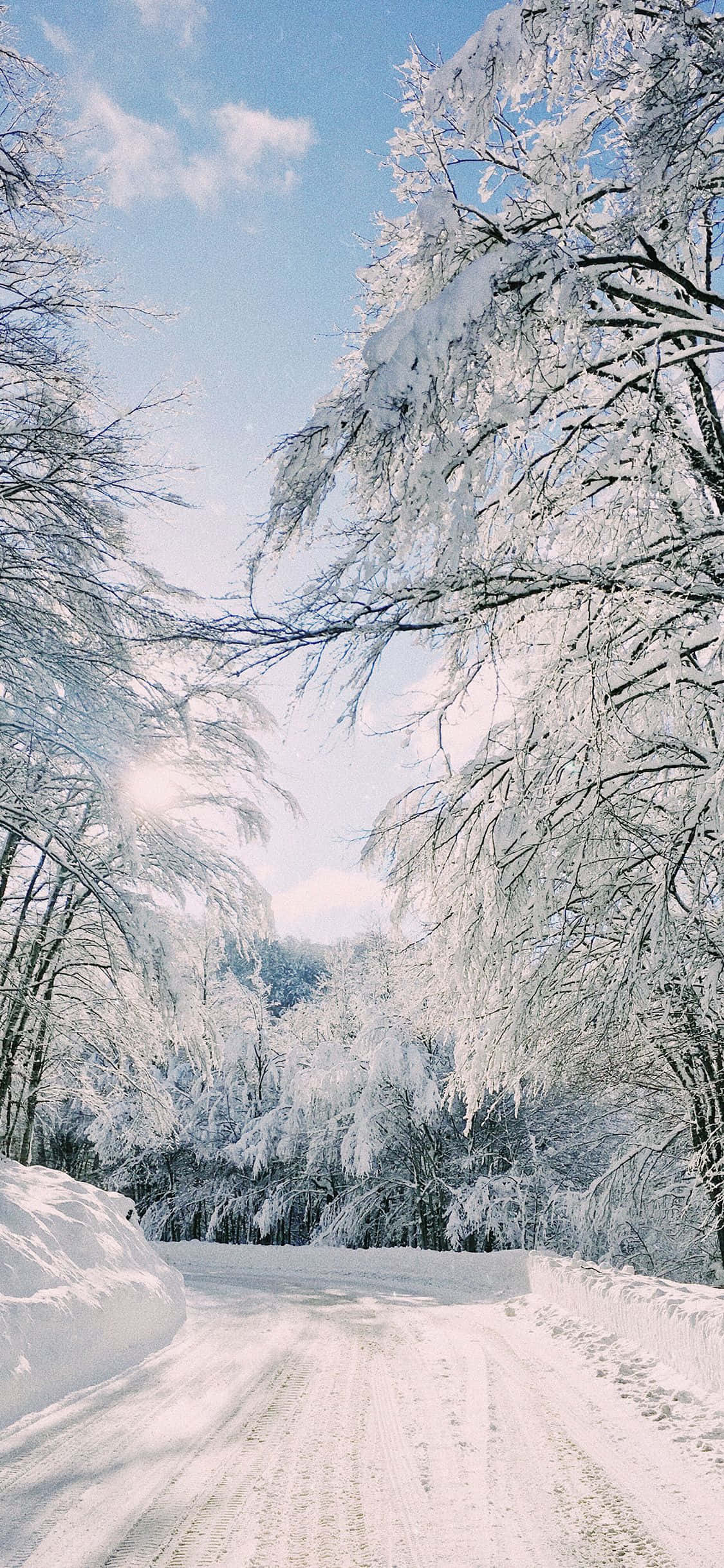 winter wonderland 桌布 壁紙 — 一條積雪的道路蜿蜒穿過結霜的樹木，天空湛藍，雲朵輕柔。