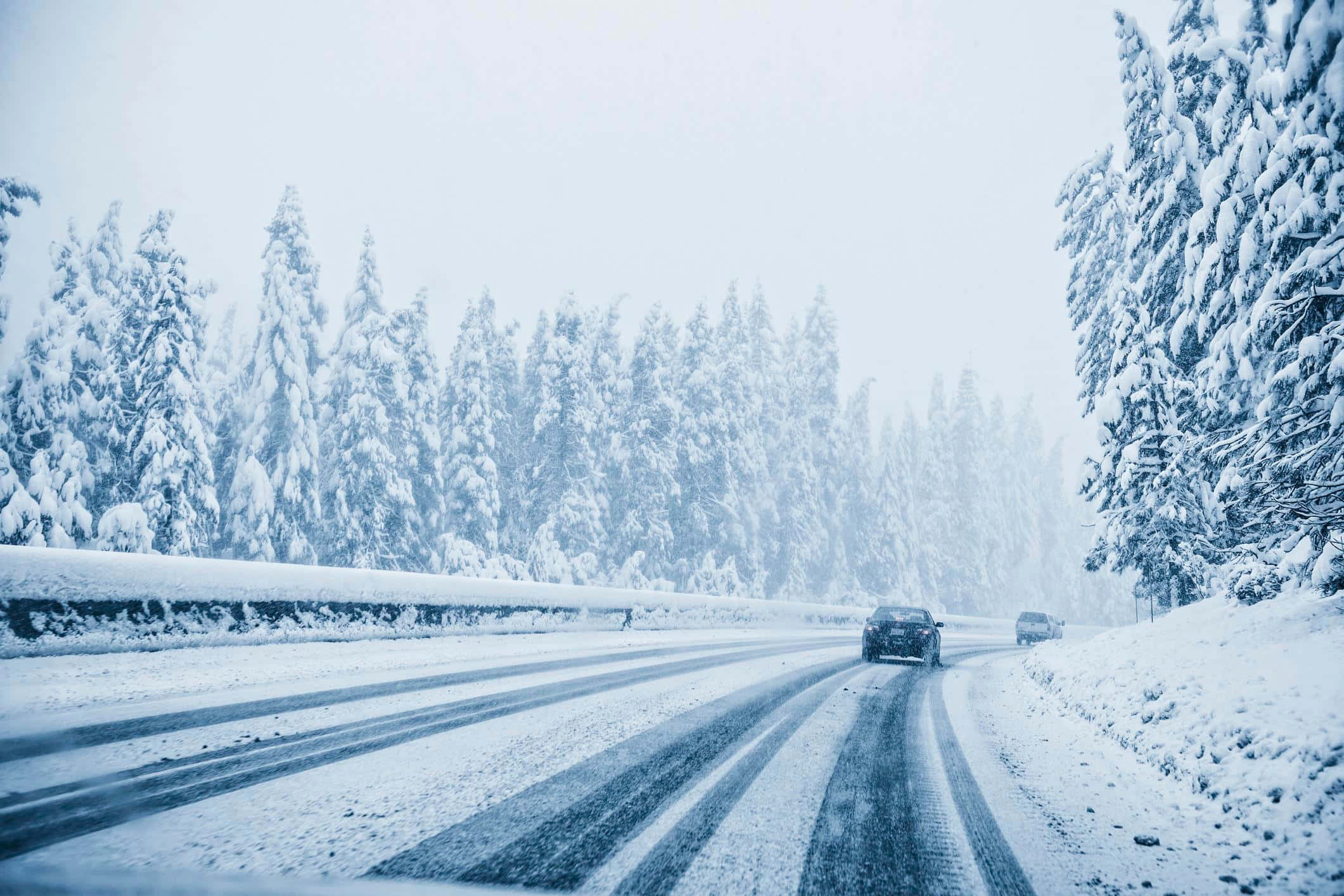 Winter Driving 桌布 壁紙 — 一條積雪的道路蜿蜒穿過茂密的森林，兩輛汽車在灰色的冬日天空下謹慎行駛。