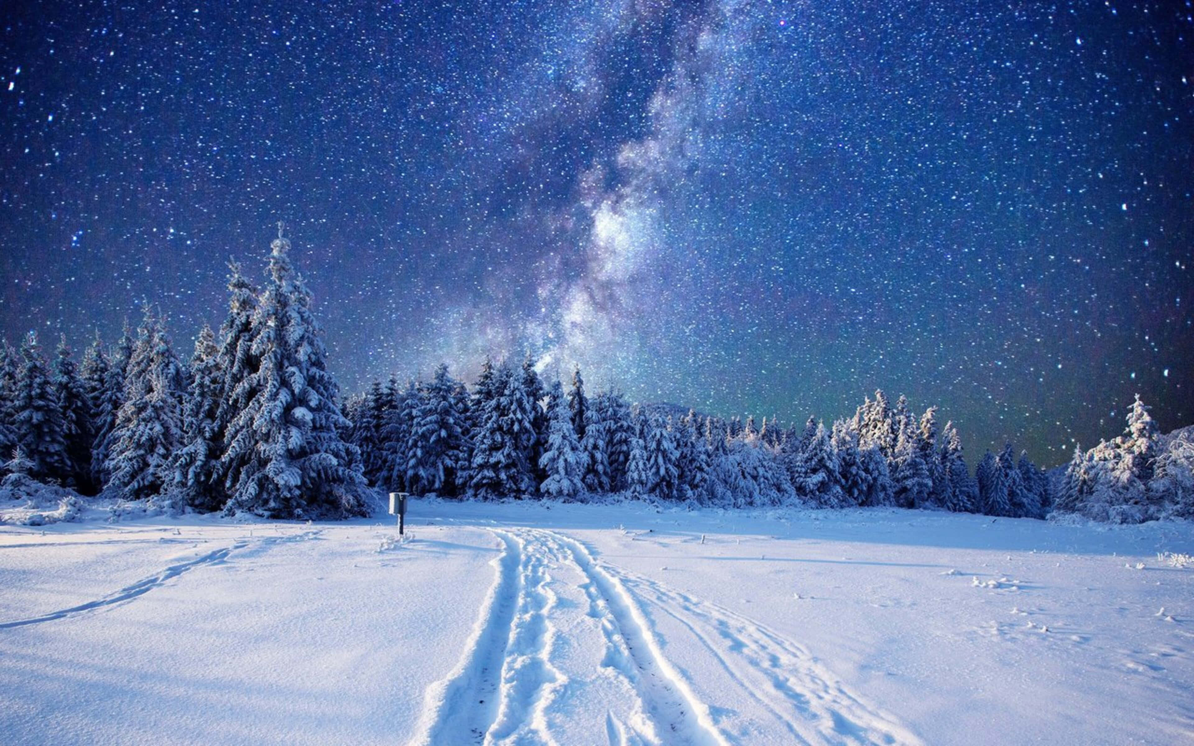 Starry Night Sky 桌布 壁紙 — 一條積雪覆蓋的森林小徑蜿蜒曲折，上方是令人驚嘆的星空，銀河橫跨天際。