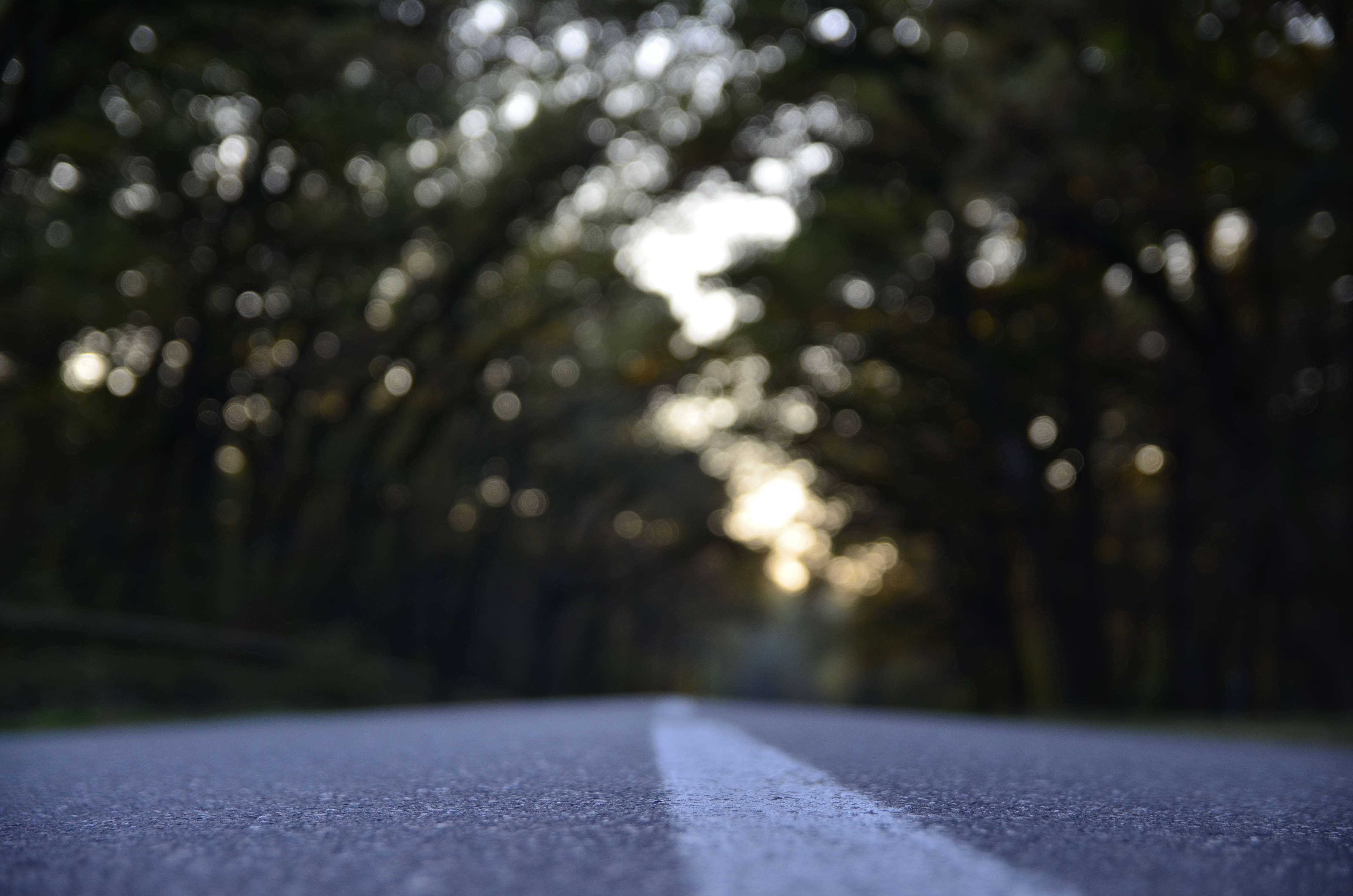 Road 桌布 壁紙 — 一條穿過森林的鋪砌道路的低角度視圖，背景有陽光照射的散景。
