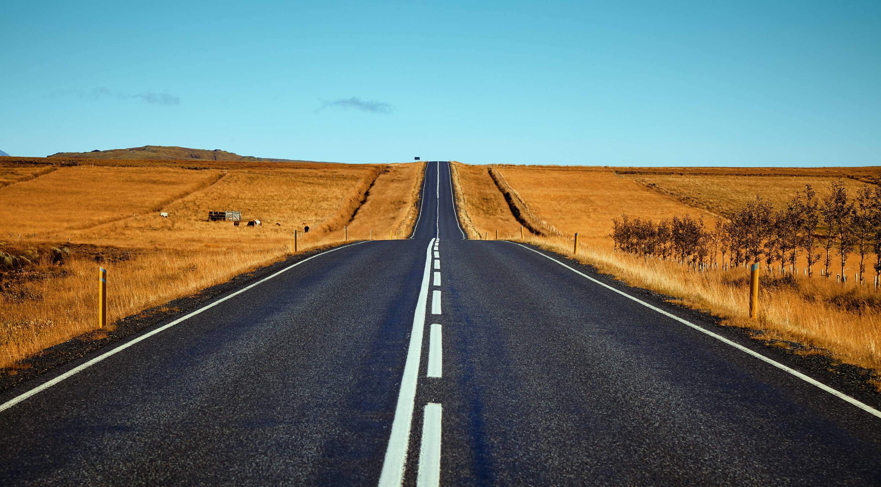 Road 桌布 壁紙 — 一條筆直的瀝青公路在晴朗藍天下穿過金色草原延伸至遠方。