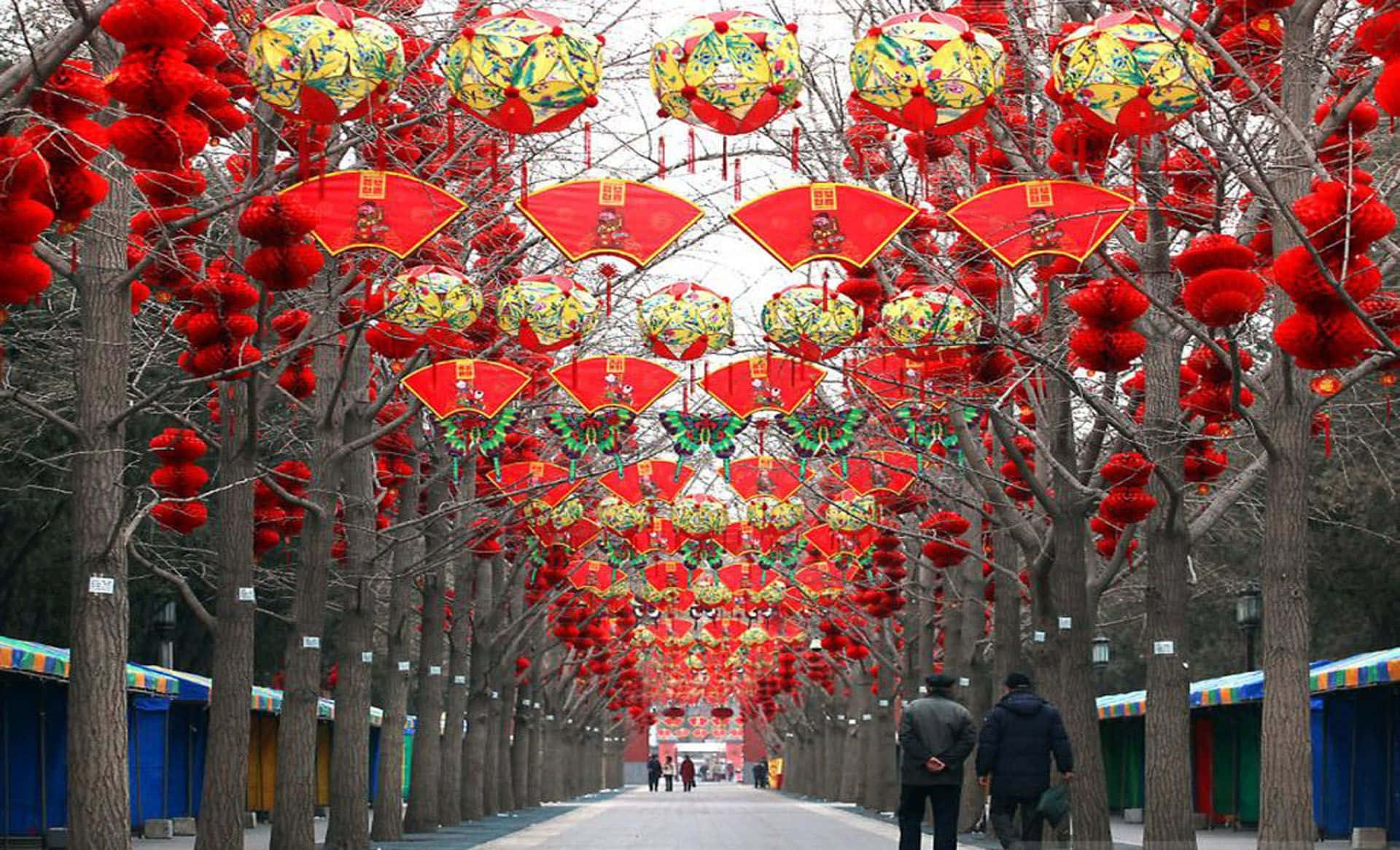 New Year 桌布 壁紙 — 一條節日街道，兩旁光禿禿的樹木掛滿鮮豔的紅色和金色燈籠，形成一條慶祝隧道。