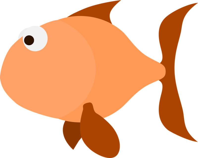 金魚 桌布 壁紙 — 一條簡單的卡通魚，橙色身體，白色大眼睛，在黑色背景上游動。