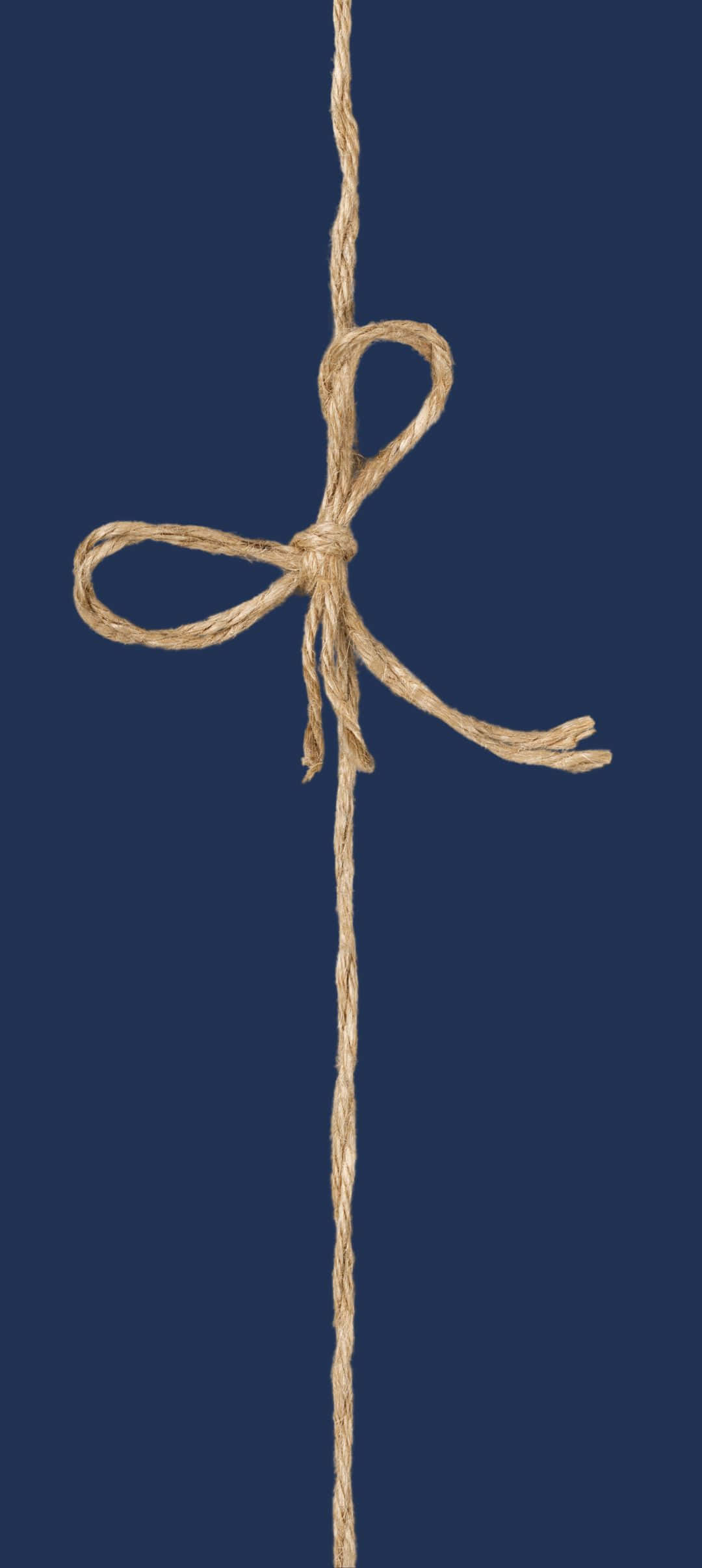 1080x2412 桌布 壁紙 — 一條米色繩子在純海軍藍背景上打了一個簡單的蝴蝶結。