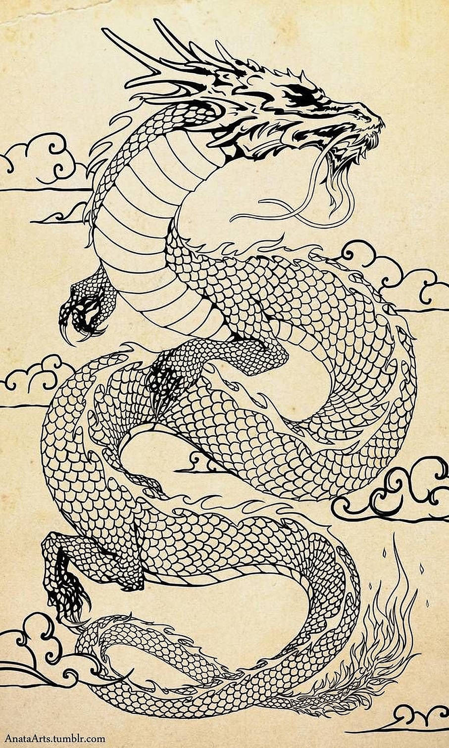 Japanese Dragon Tattoo 桌布 壁紙 — 一條精細的黑墨龍在陳舊羊皮紙上動態地盤繞於風格化的雲朵之間。