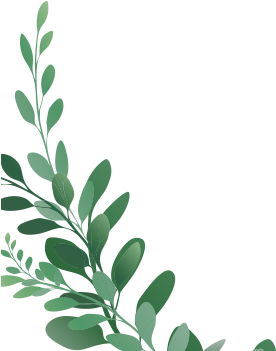 Daun 桌布 壁紙 — 一條精緻的綠色樹枝優雅地彎曲在純黑背景上。