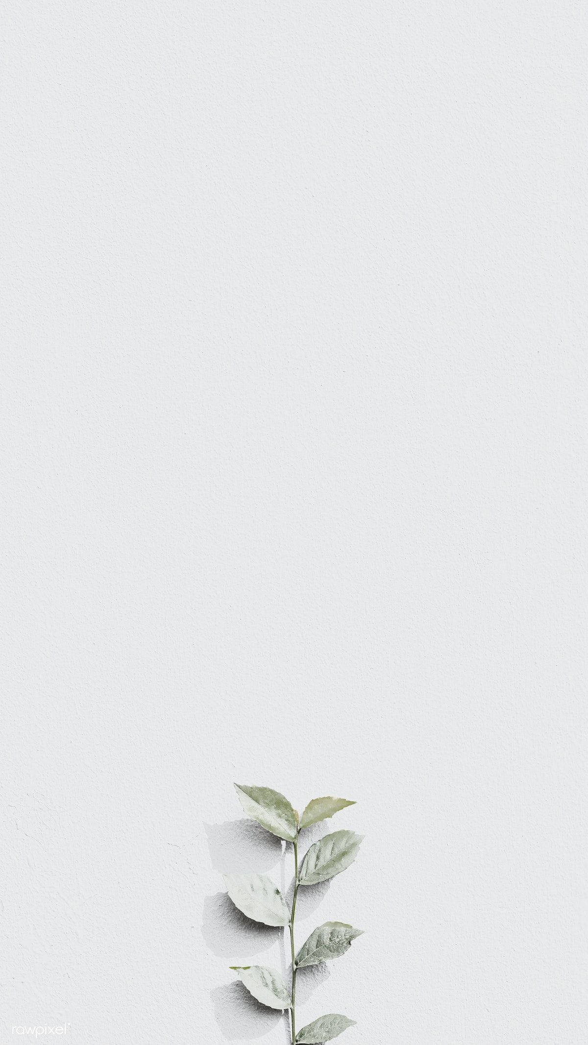 白色 桌布 壁紙 — 一條精緻的綠色樹枝放在簡約白色紋理牆的底部。