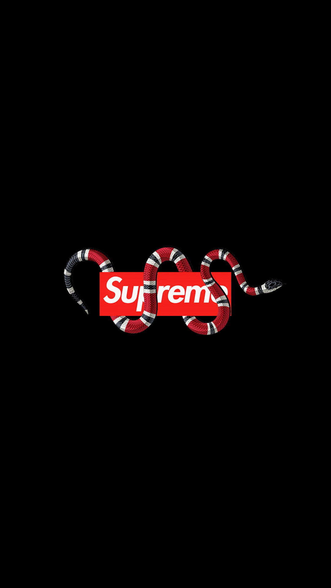 紅白相間的蛇纏繞在黑色背景上的紅色Supreme標誌上。 — Supreme GIF 壁紙