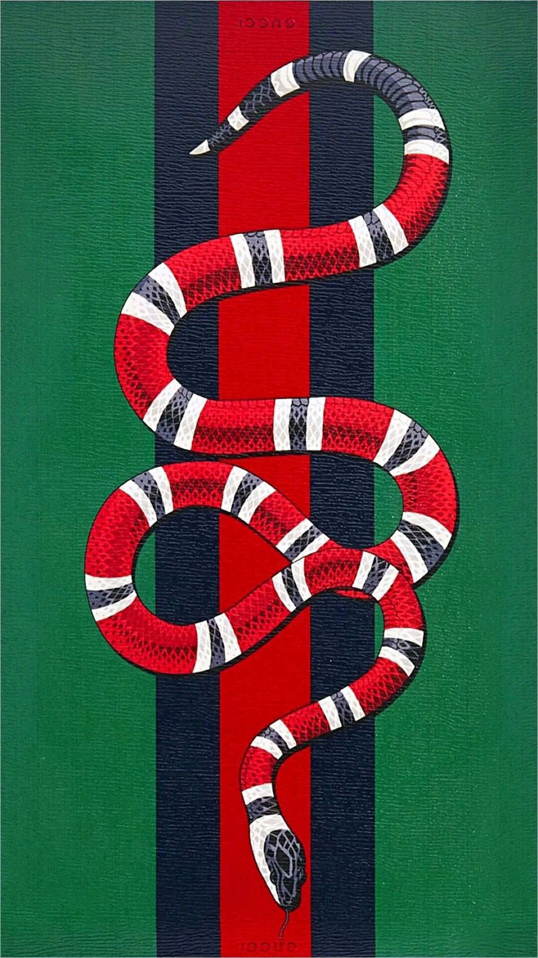 一條紅白黑相間的蛇盤繞在Gucci標誌性條紋圖案上。 — Gucci GIF 壁紙