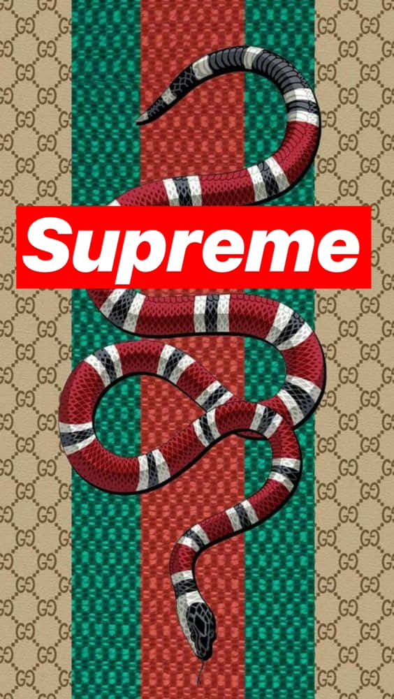 一條帶有紅白黑條紋的蛇，位於Gucci圖案背景上，帶有Supreme標誌。 — Gucci GIF 壁紙