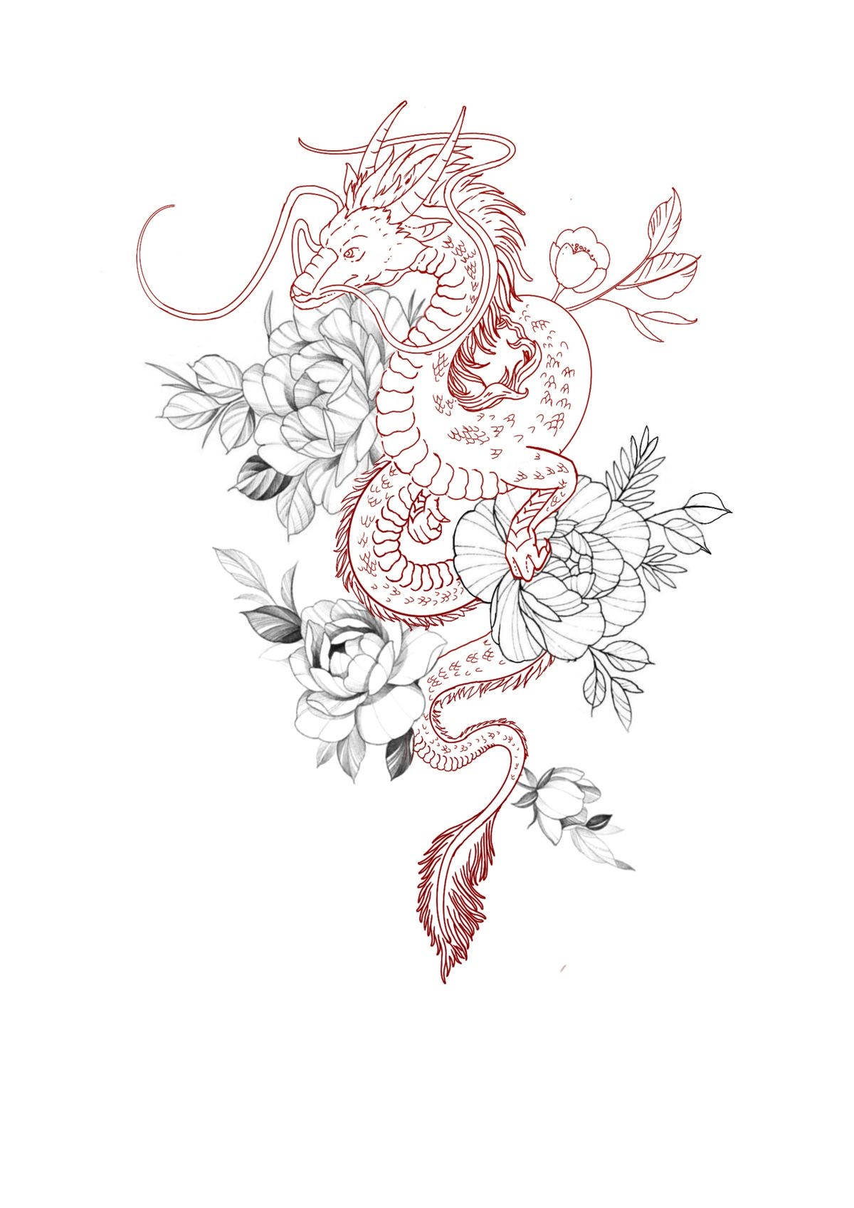 Japanese Dragon Tattoo 桌布 壁紙 — 一條紅色墨水龍在精緻的黑白牡丹和葉子之間優雅地盤繞，呈現細膩的線條藝術風格。