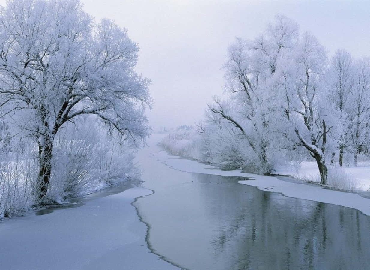 winter solstice 桌布 壁紙 — 一條結冰的河流蜿蜒穿過白雪覆蓋的森林，樹木披著霜，在蒼白的冬日天空下。