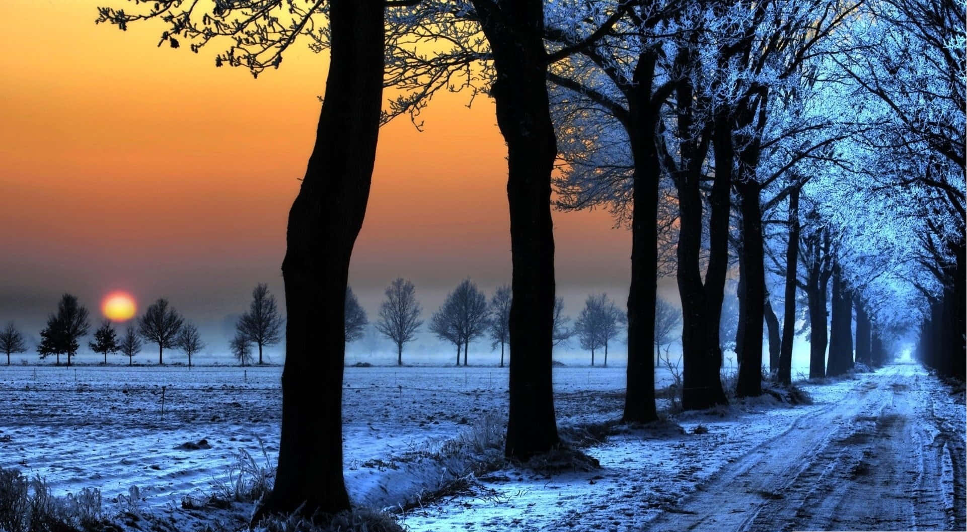 Snowy Landscape 桌布 壁紙 — 一條結霜的冬季道路，兩旁是灑滿雪的樹木，在充滿活力的橙色和藍色日落天空下。