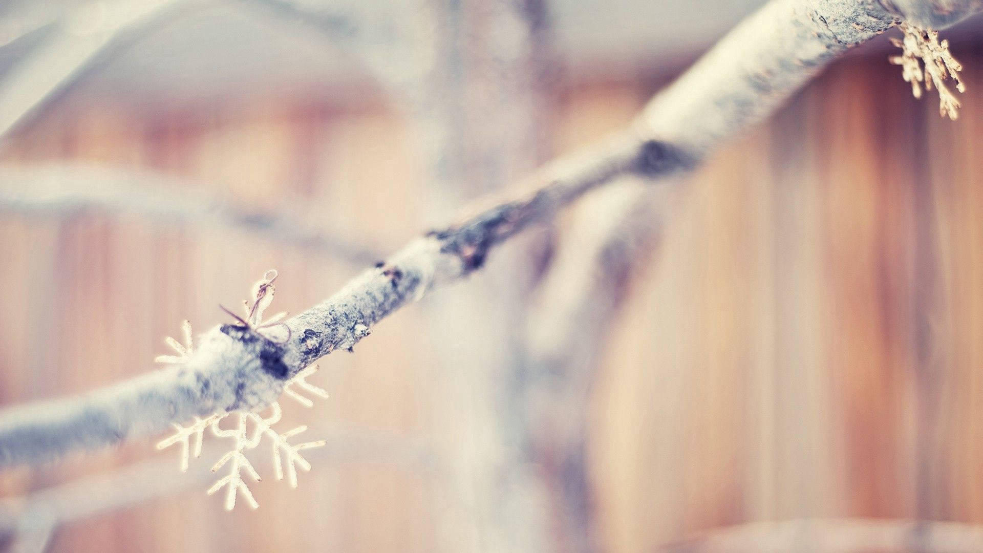 雪花 桌布 壁紙 — 一條結霜的樹枝點綴著精緻的雪花，在模糊的木柵欄背景下呈現柔焦效果。