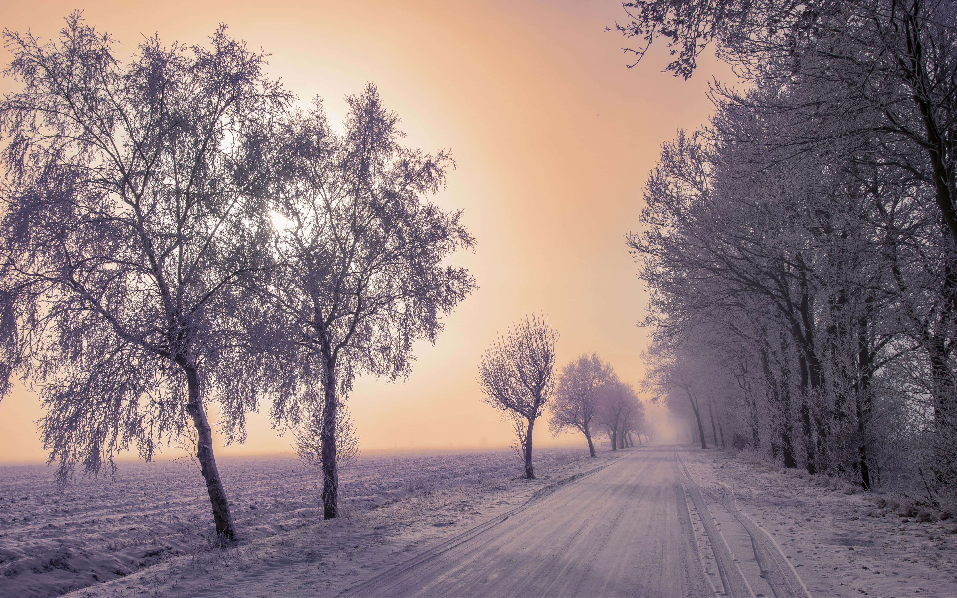 Icy Road 桌布 壁紙 — 一條結霜的道路蜿蜒穿過灑滿雪花的樹木，在柔和的橙色日出天空下。