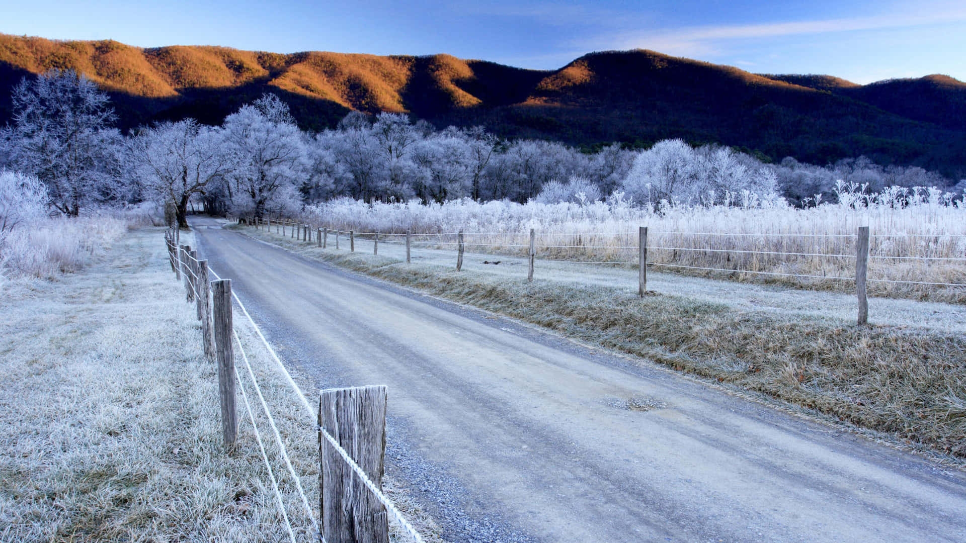 Road 桌布 壁紙 — 一條結霜的鄉村道路蜿蜒穿過灑滿雪花的田野，遠山沐浴在金色的日出光芒中。
