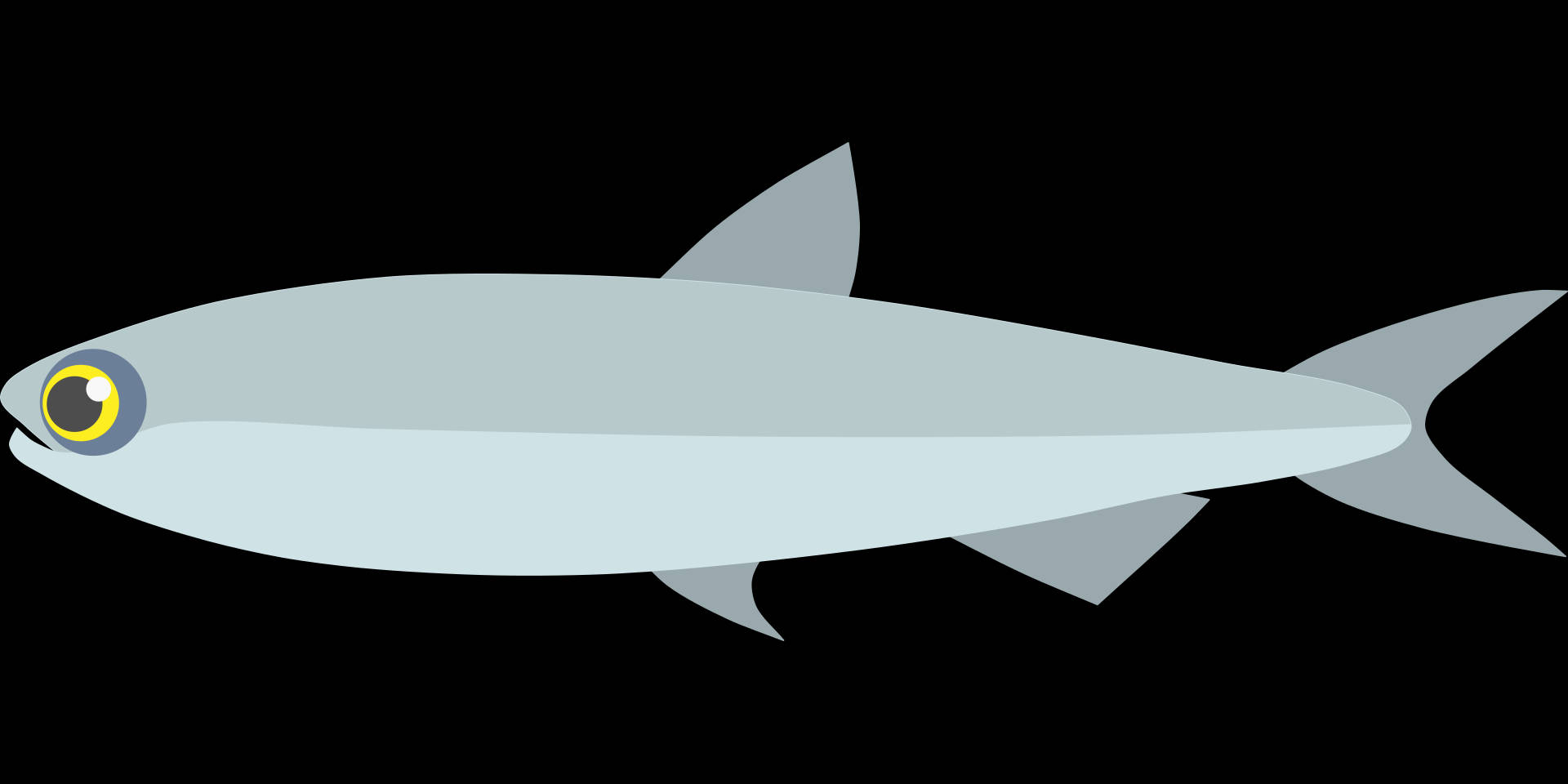 魚 桌布 壁紙 — 一條線條流暢的銀色魚，有著黃色眼睛，在純黑色背景上以極簡平面設計游動。