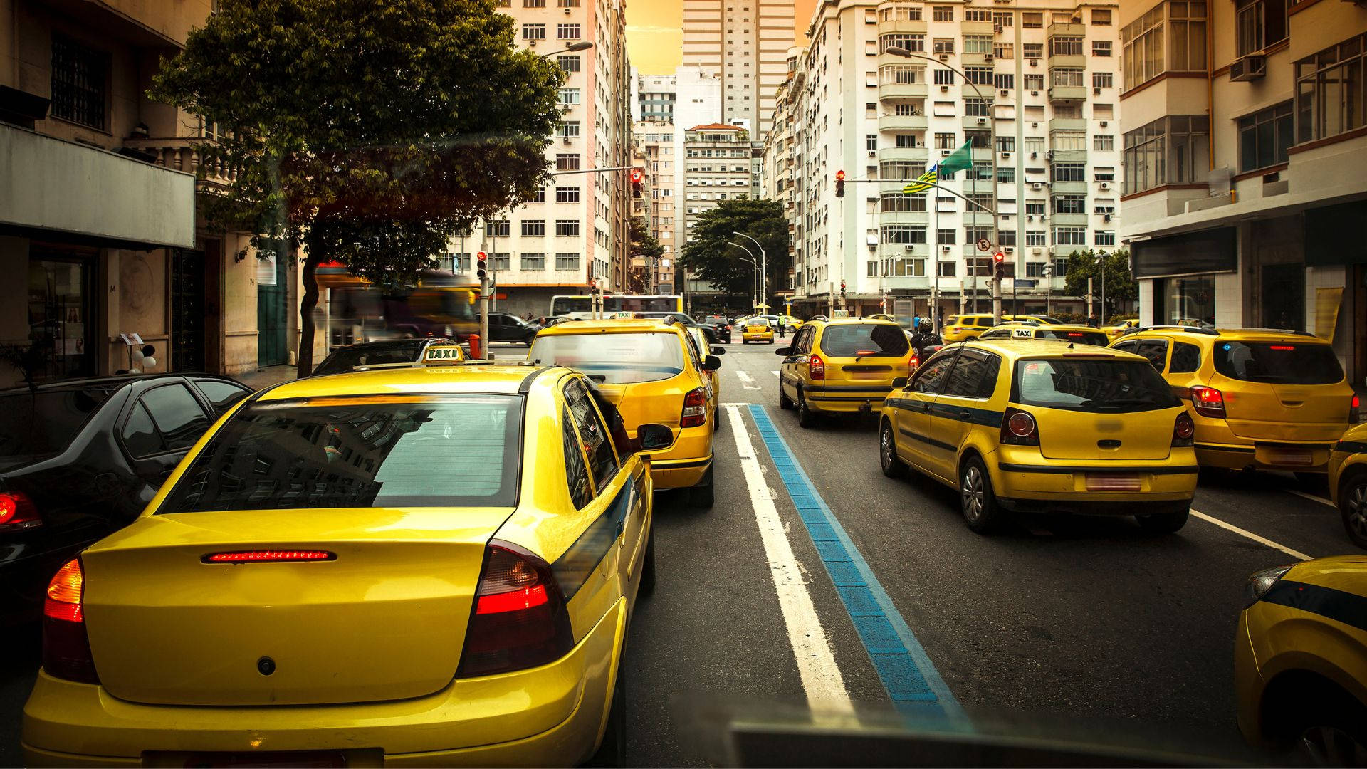 Building 桌布 壁紙 — 一條繁忙的城市街道，充滿了明亮的黃色計程車，在高樓大廈之間穿梭，沐浴在溫暖的金色光芒中。