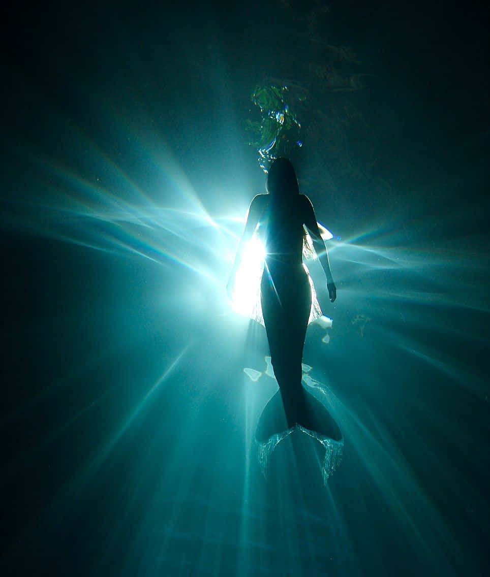 美人魚 桌布 壁紙 — 一條美人魚的剪影在水下滑行，朝向一道穿透深藍海洋的燦爛陽光。