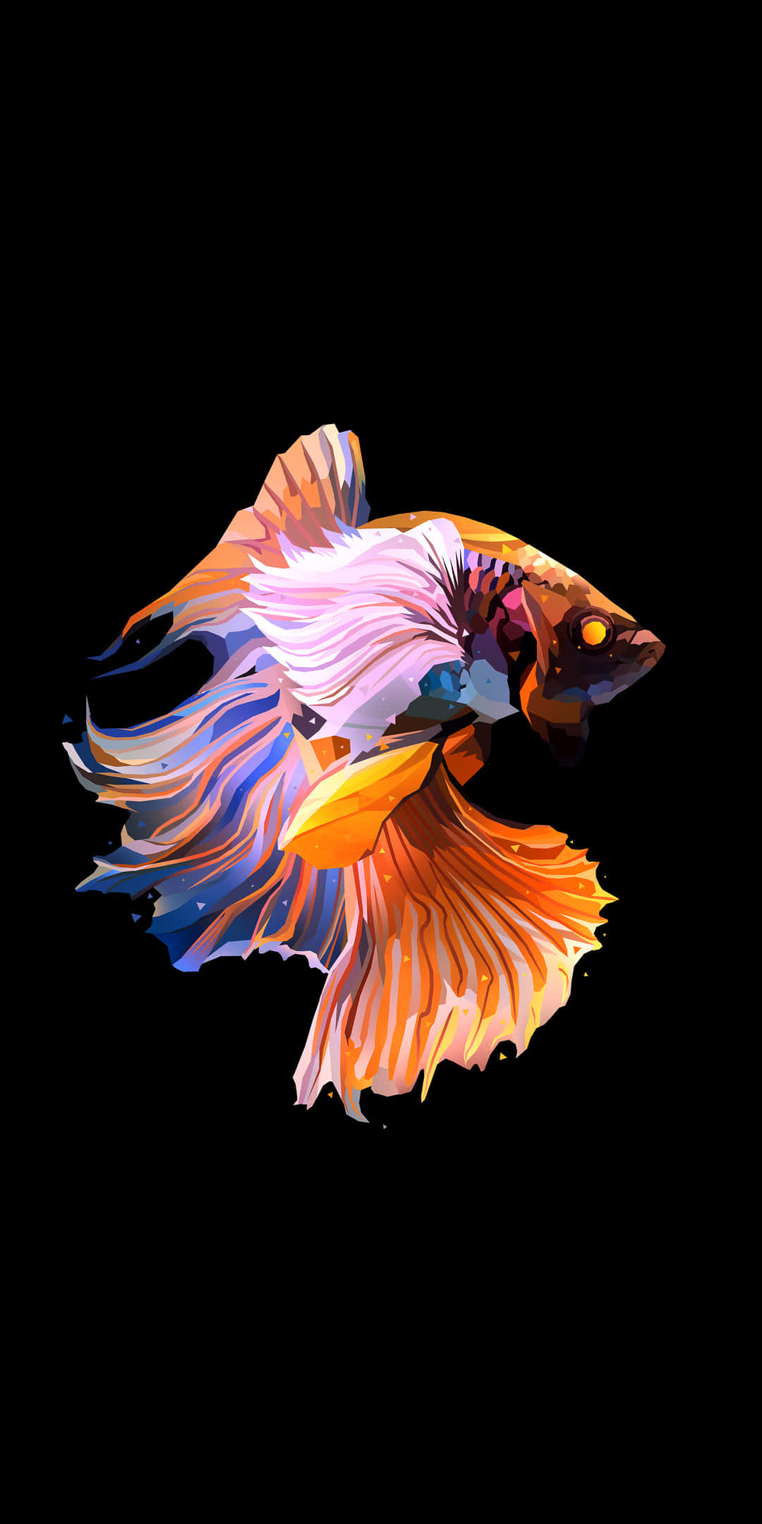Pixel 3 Fish 桌布 壁紙 — 一條色彩鮮豔的鬥魚，帶有流動的橙色、粉紅色和藍色魚鰭，在純黑色背景下閃耀。