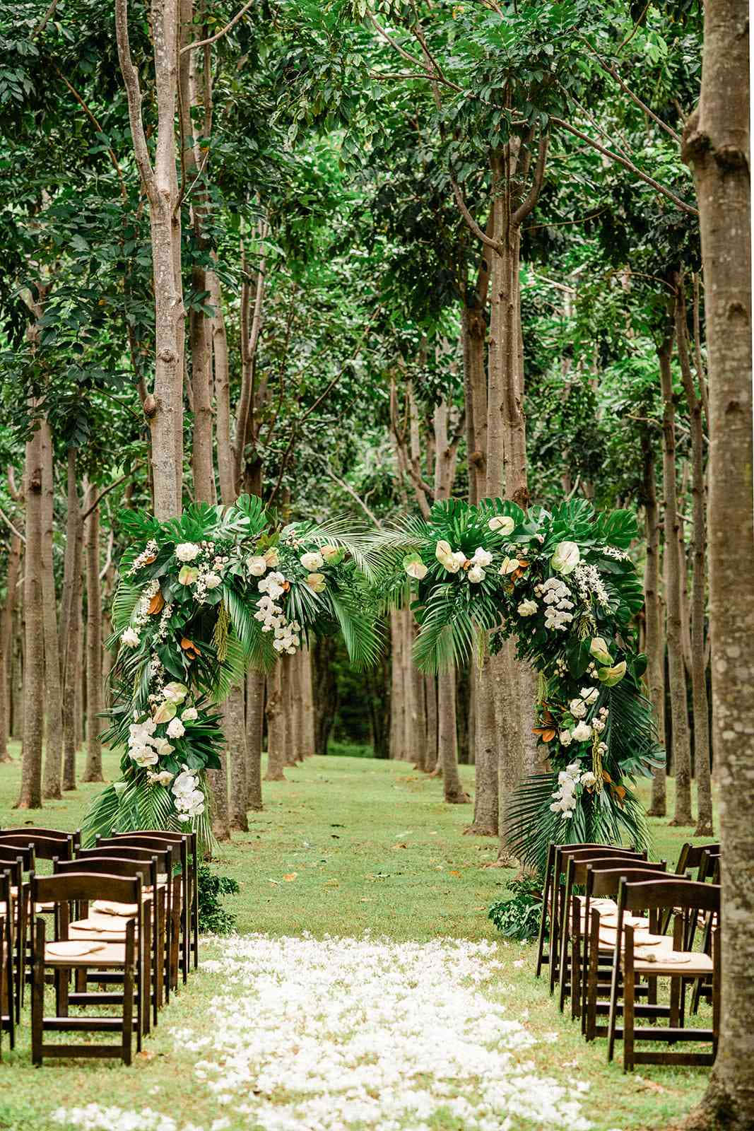 Garden Wedding 桌布 壁紙 — 一條茂密的森林通道，兩旁是高聳的樹木和成排的木椅，通向一個裝飾著白色花朵和綠色葉子的花卉拱門。