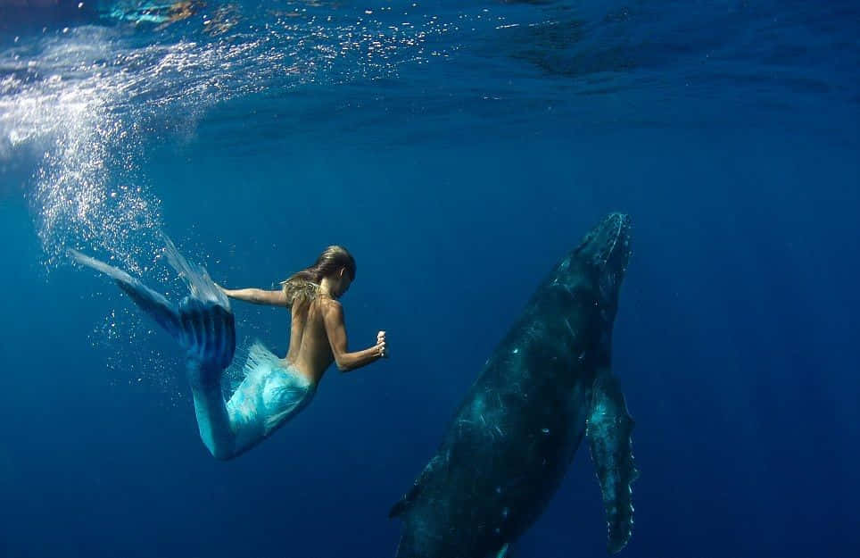 Mermaid Real Life 桌布 壁紙 — 一條藍尾美人魚在深藍海洋中優雅地游在一條巨大的座頭鯨旁邊。