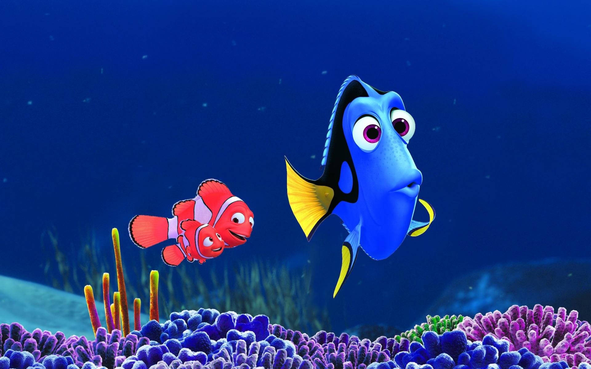 Dory 桌布 壁紙 — 一條藍色倒吊魚和小丑魚一起在深藍色海水中的彩色珊瑚上方游動。