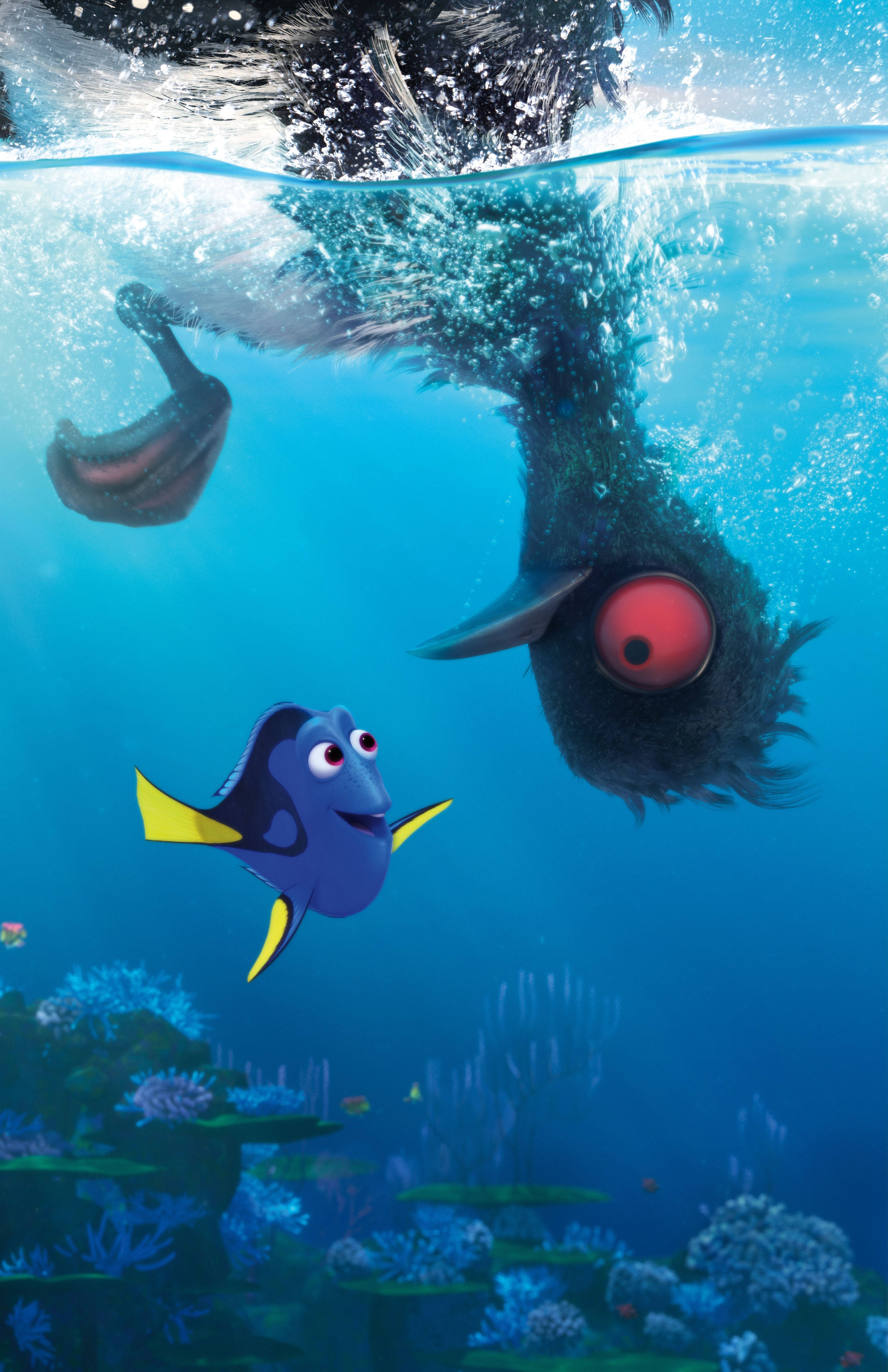 nemo 桌布 壁紙 — 一條藍色刺尾魚在珊瑚礁上方的海洋水中游近一隻巨大的黑色海鷗潛入水中。