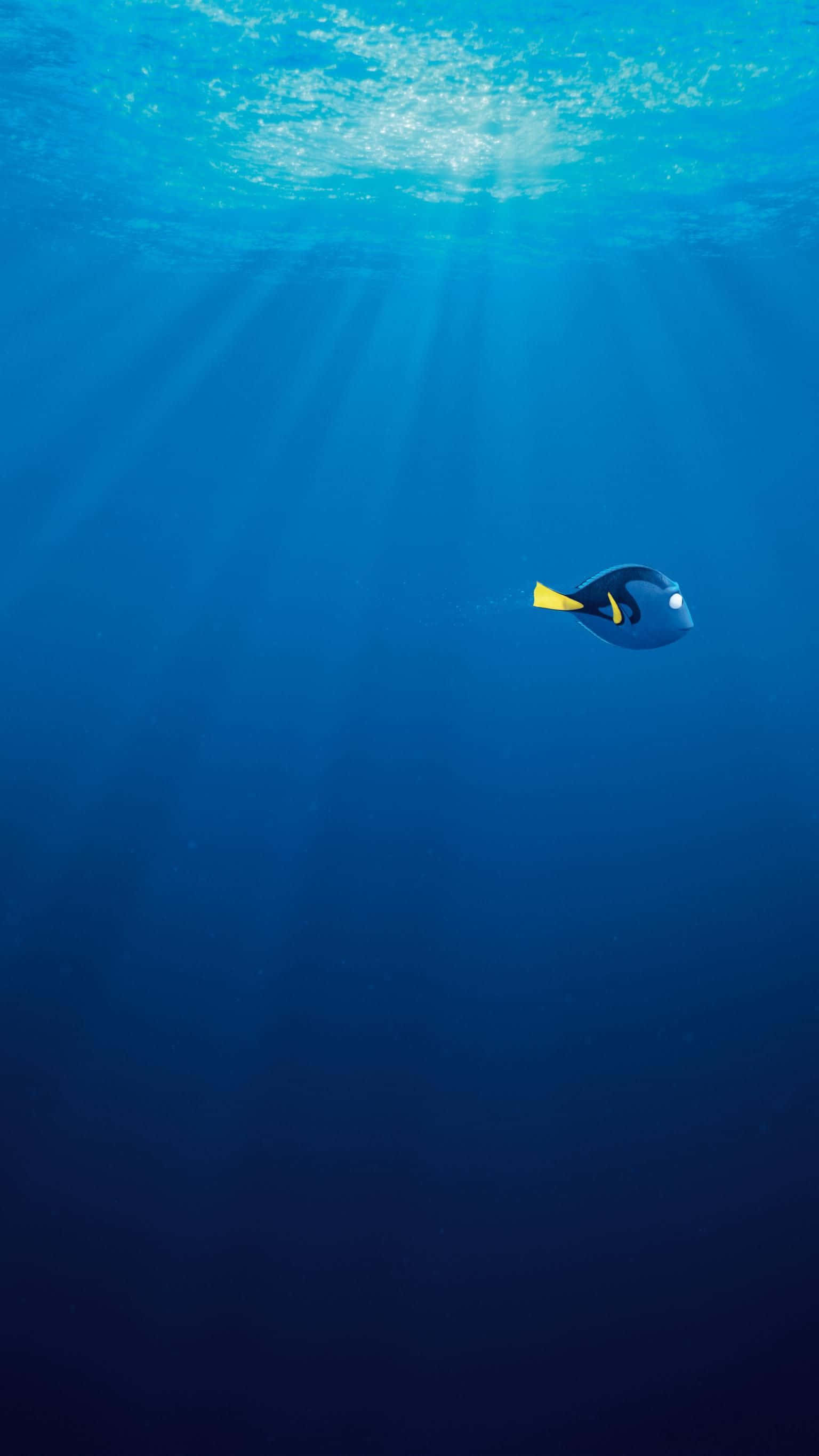 海底總動員 桌布 壁紙 — 一條藍色刺尾魚獨自在深藍色海洋水中游動，陽光從上方穿透而下。