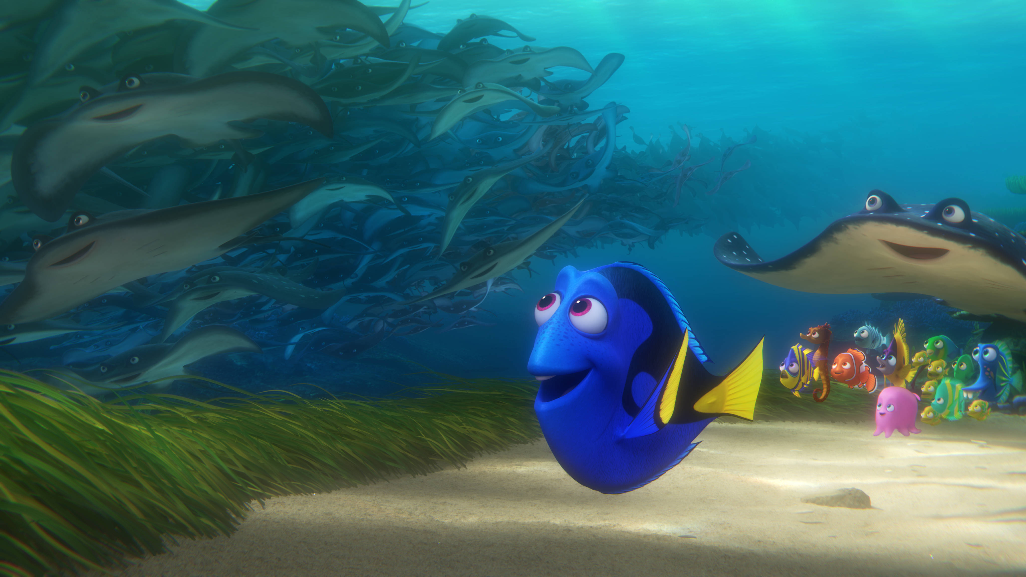 Dory 桌布 壁紙 — 一條藍色黃尾刺尾魚在沙質海底附近游動，周圍有微笑的魟魚和色彩繽紛的魚類在清澈的藍色海水中。