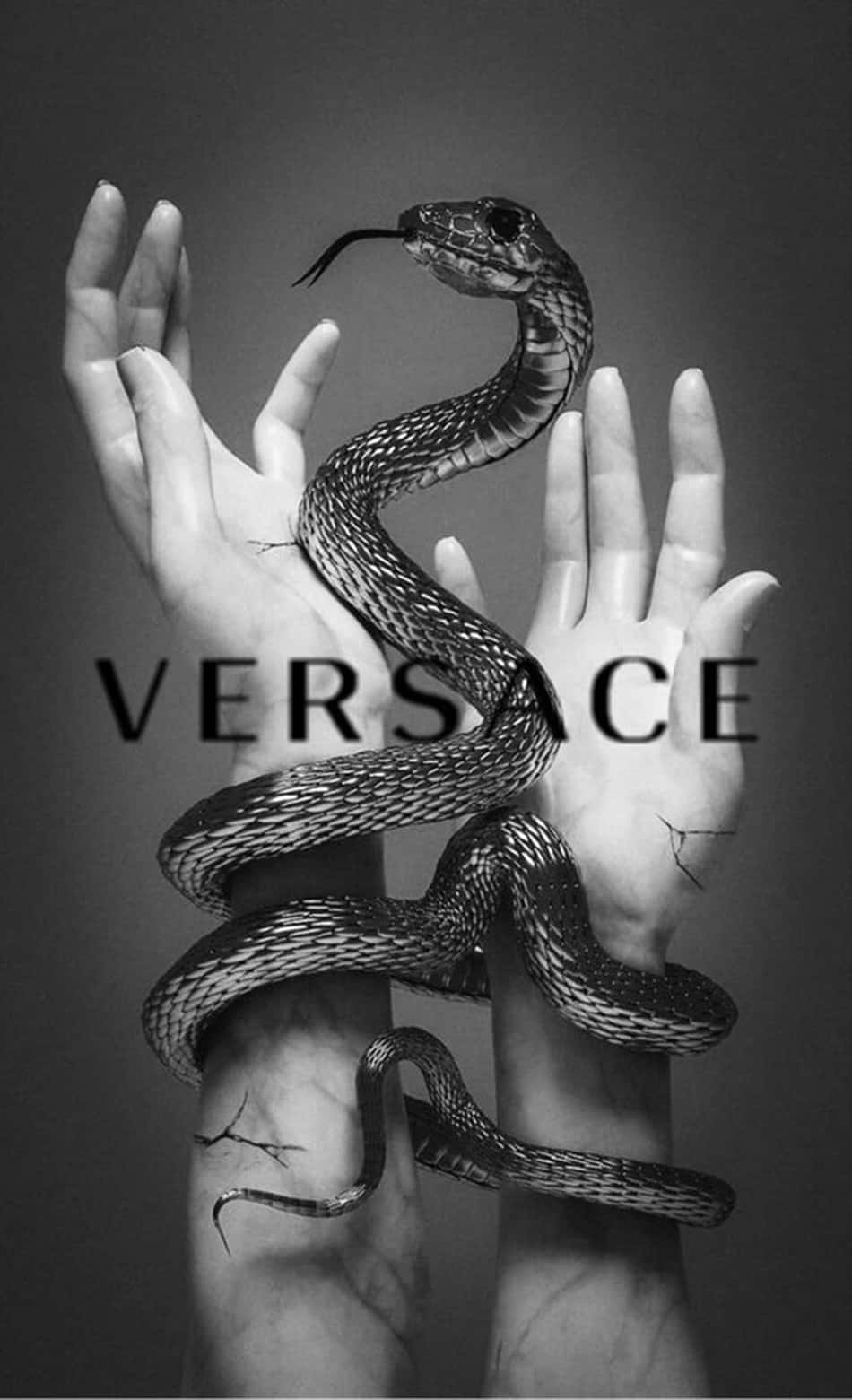 Luxury Aesthetic 桌布 壁紙 — 一條蛇纏繞在兩隻皮膚龜裂的手上的黑白肖像，上面疊加著Versace字樣。