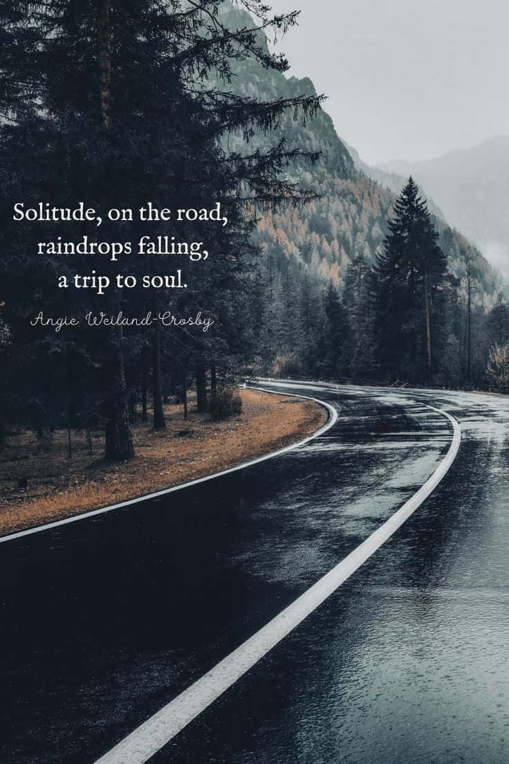 桌布 壁紙 — 一條蜿蜒潮濕的道路在陰天籠罩下，蜿蜒穿過霧氣瀰漫的森林山谷，並帶有文字疊加。
