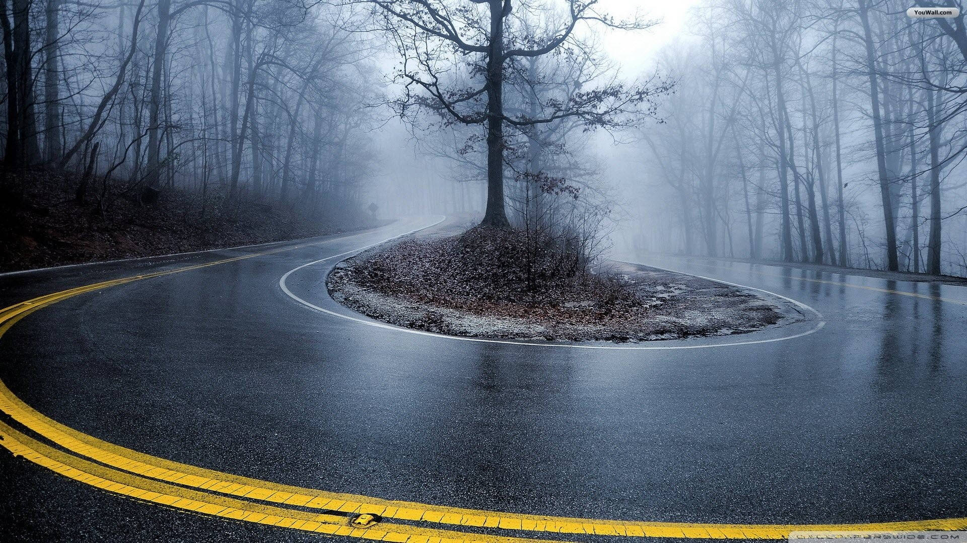 Foggy 桌布 壁紙 — 一條蜿蜒潮濕的道路穿過霧氣瀰漫的森林，樹木光禿，中央有一個土島。