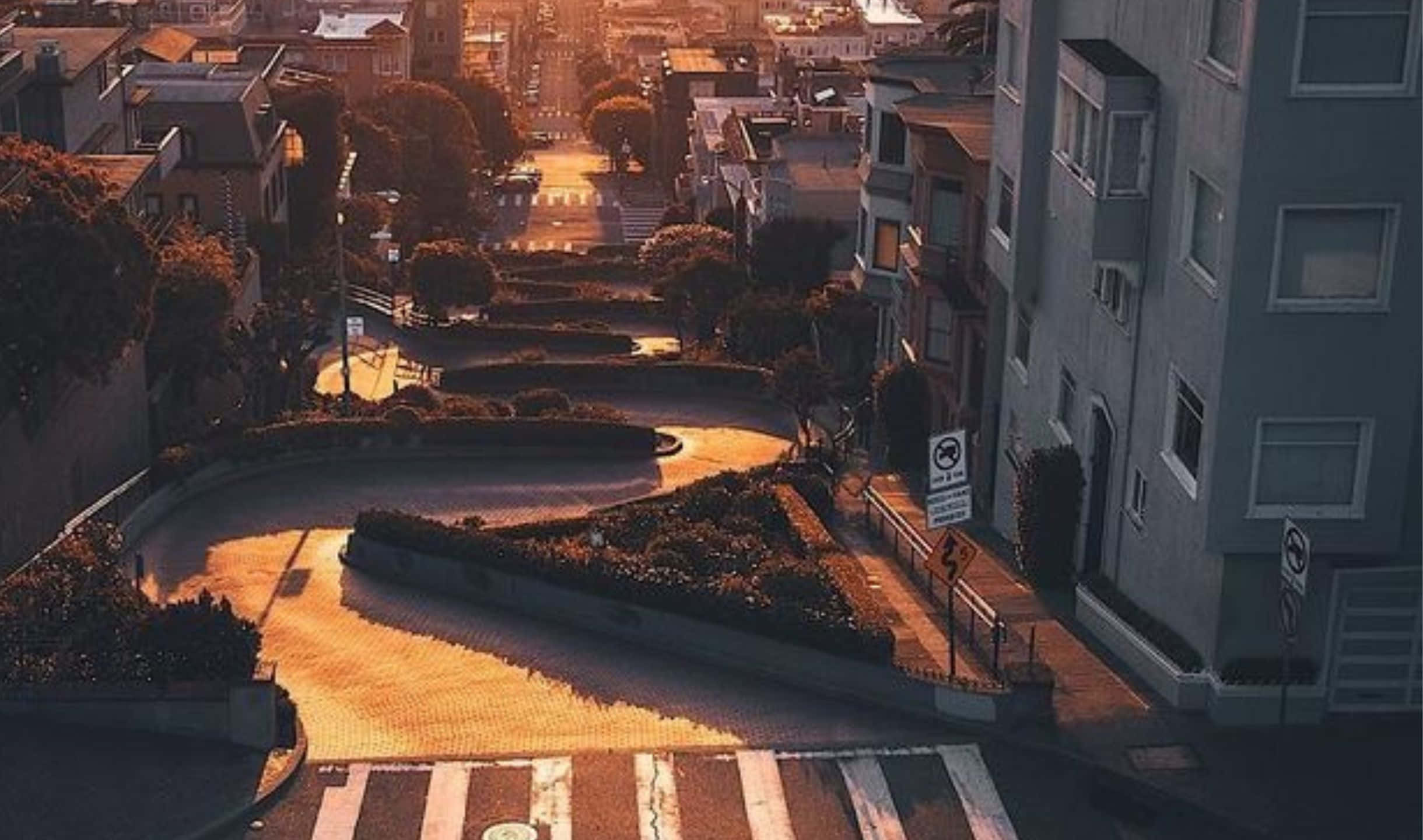 2440x1440 San Francisco 桌布 壁紙 — 一條蜿蜒的城市街道沐浴在金色的日落光線中，樹木和建築物沿著彎道排列。