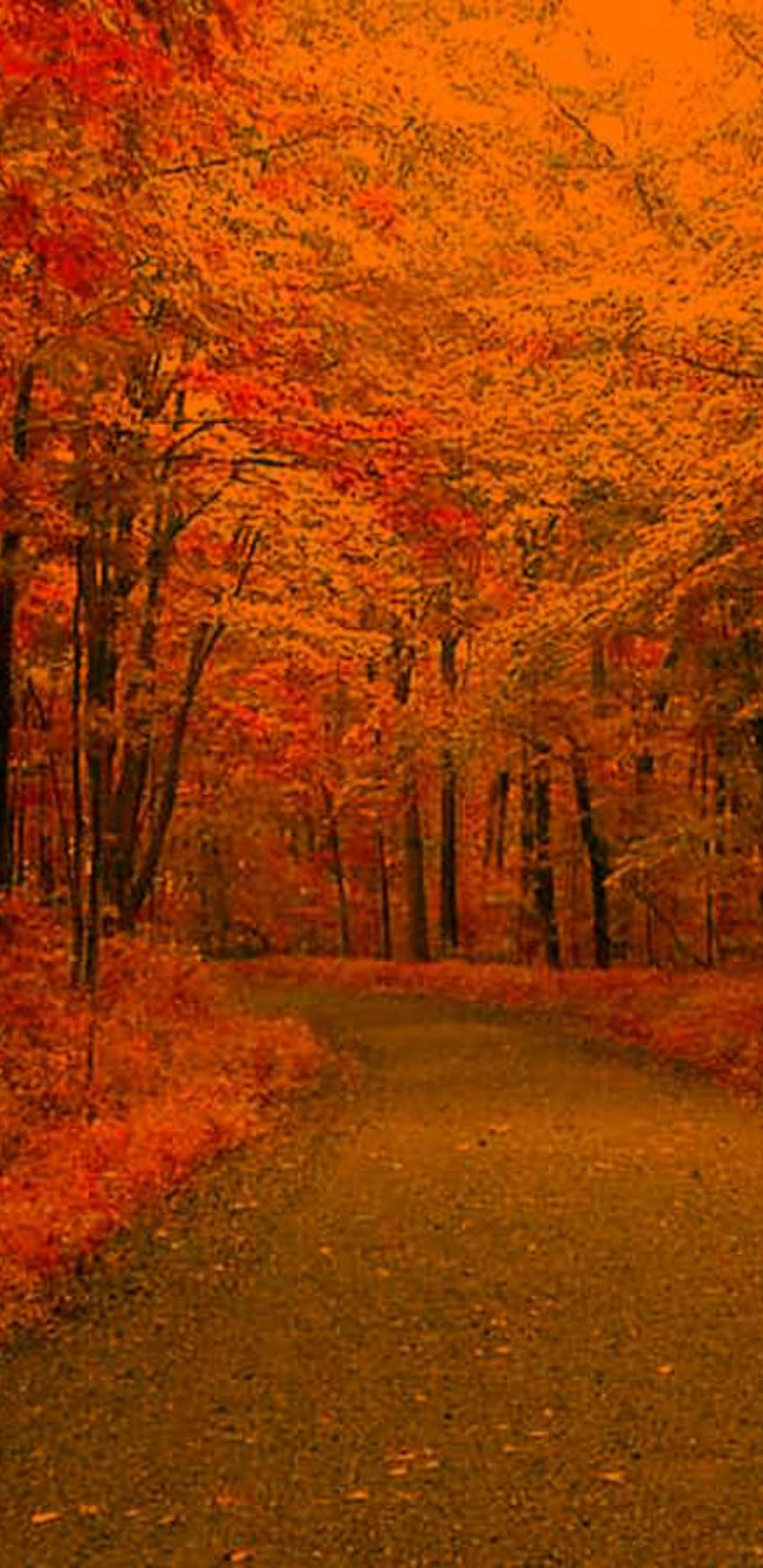 Pixel 3xl Autumn 桌布 壁紙 — 一條蜿蜒的小徑穿過一片被火紅橙紅秋葉覆蓋的森林，在溫暖的金色天空下。