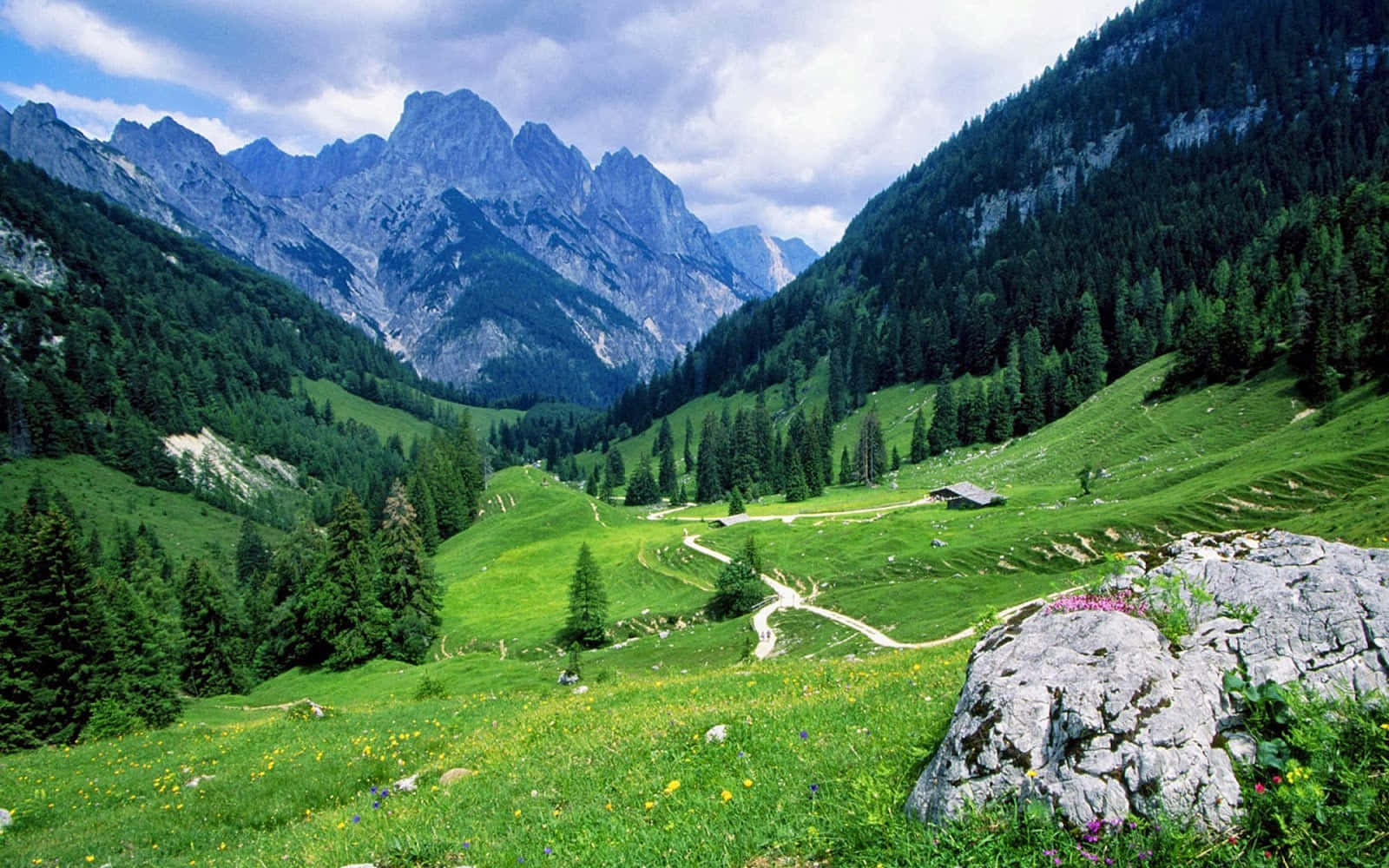 Pakistan 桌布 壁紙 — 一條蜿蜒的小路穿過鬱鬱蔥蔥的綠色山谷，兩旁是高聳的森林覆蓋的山脈，天空部分多雲。