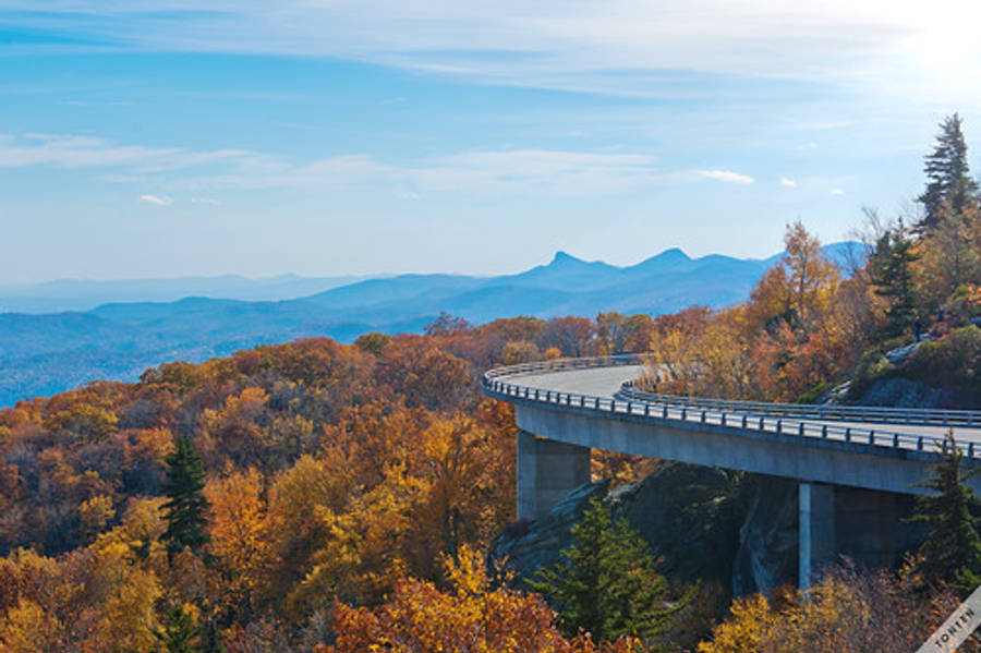 North Carolina 桌布 壁紙 — 一條蜿蜒的山區高速公路橋樑在晴朗的藍天下彎曲於一片秋色如火的山林之上。