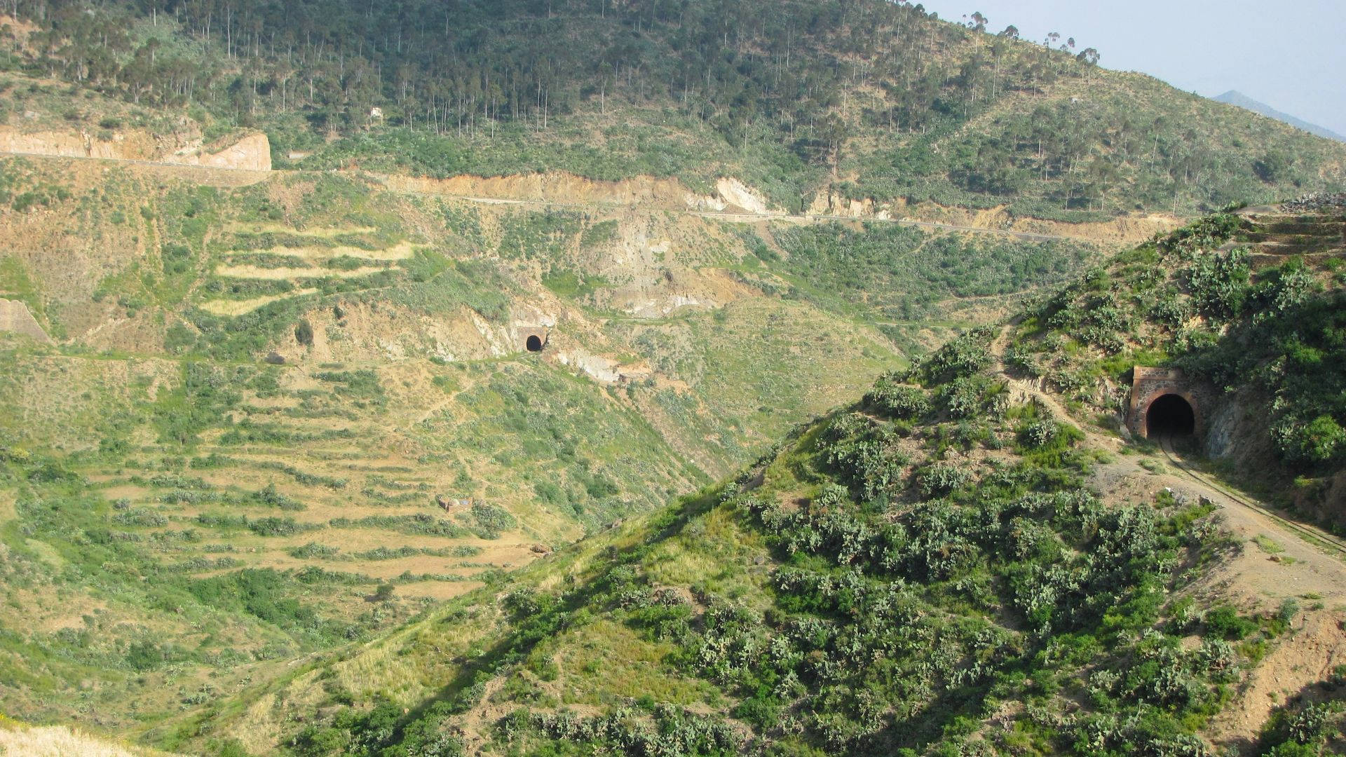 Eritrea 桌布 壁紙 — 一條蜿蜒的山路，有梯田斜坡和兩個可見的隧道入口，雕刻在綠色和棕色的山坡上。