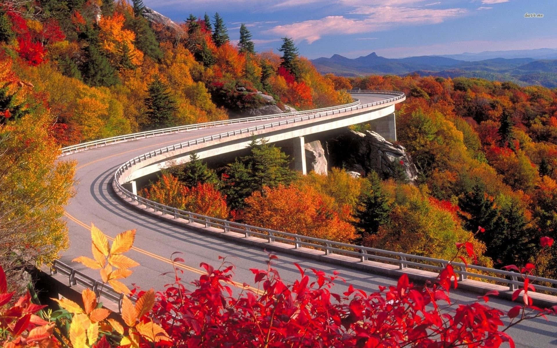 Blue Ridge Mountains 桌布 壁紙 — 一條蜿蜒的山路優雅地穿過充滿活力的秋日森林，在清澈的藍天下呈現出火紅、橙黃和金黃的樹葉。