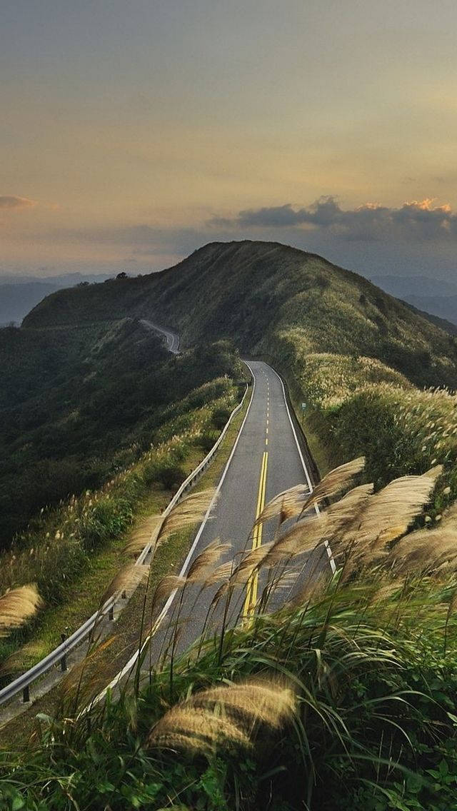 View 桌布 壁紙 — 一條蜿蜒的山路在柔和的日落天空下穿過金色的草叢。